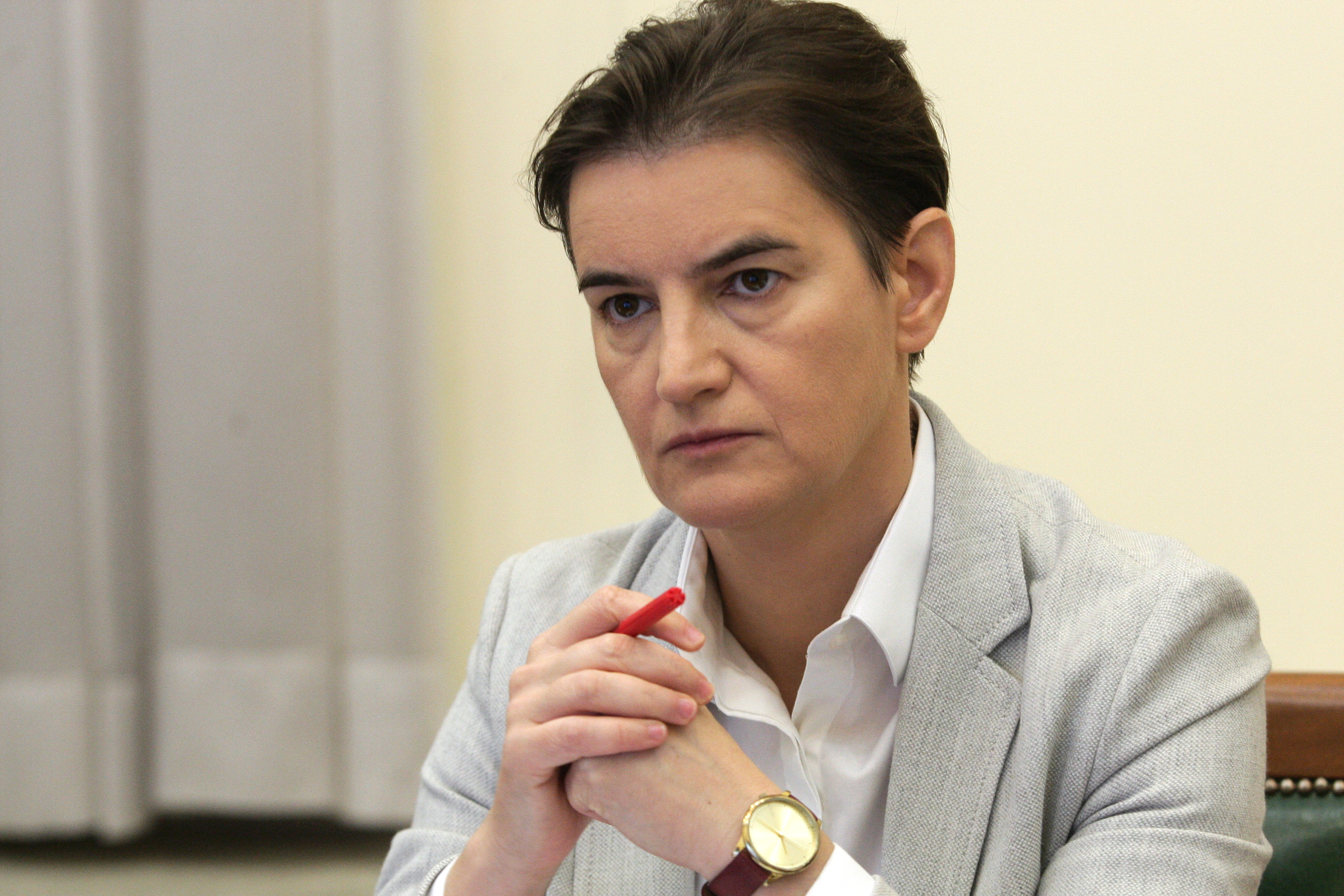 ANA BRNABIC