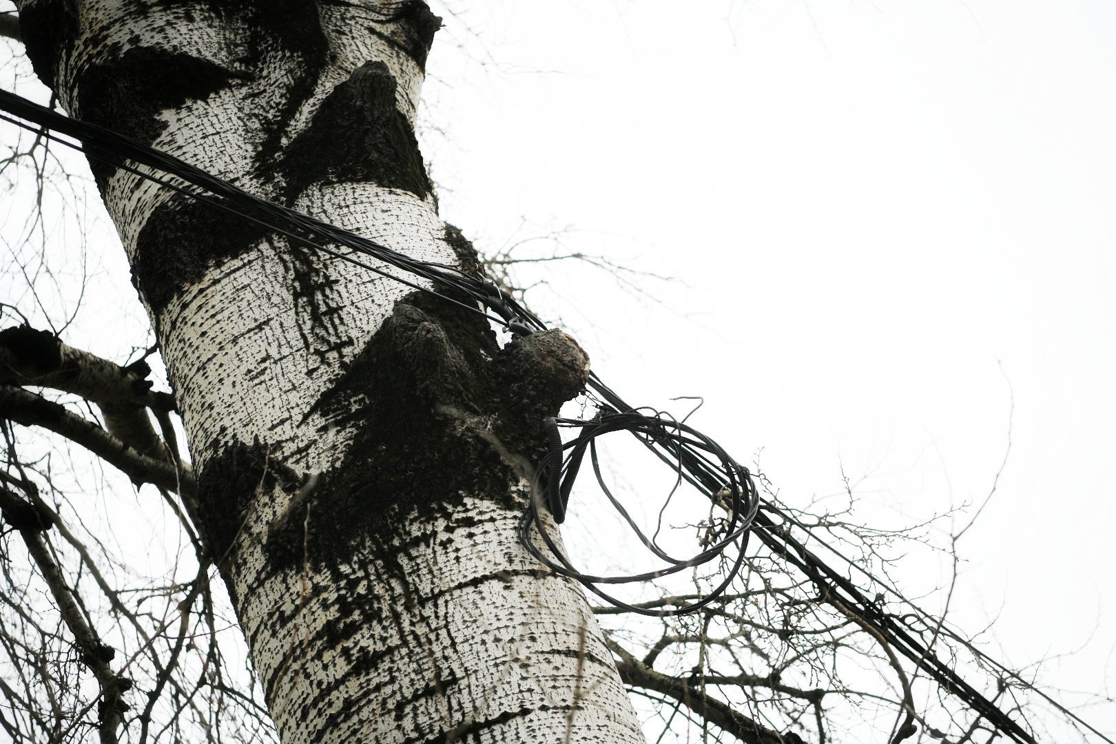 Beograd 09. decembar 2020. Novi Beograd, blokovi, struja, bandera, zice, isecena struja, splavovi Foto:Vesna Lalić/Nova.rs