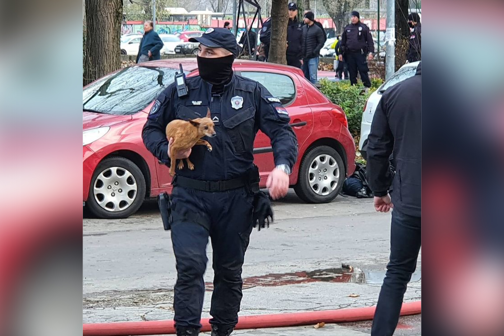 Policajac spasio kuce iz pozara u Novom Sadu