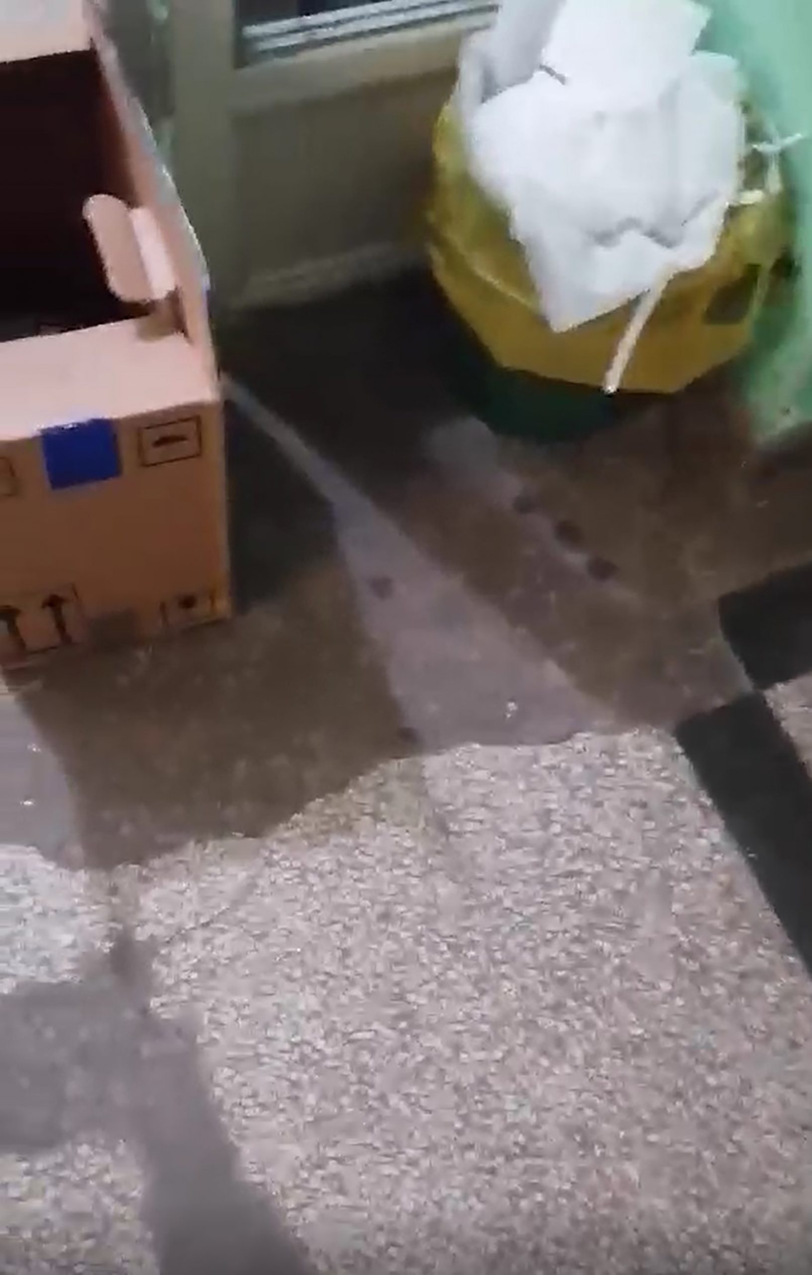 Jasmina Pasalic doktorka Negotin