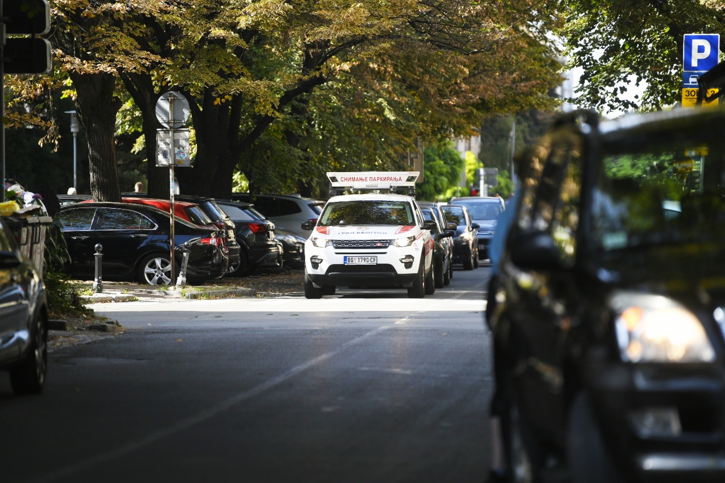 Beograd, 21.09.2020. Oko sokolovo Foto: Nemanja Jovanović/Nova.rs