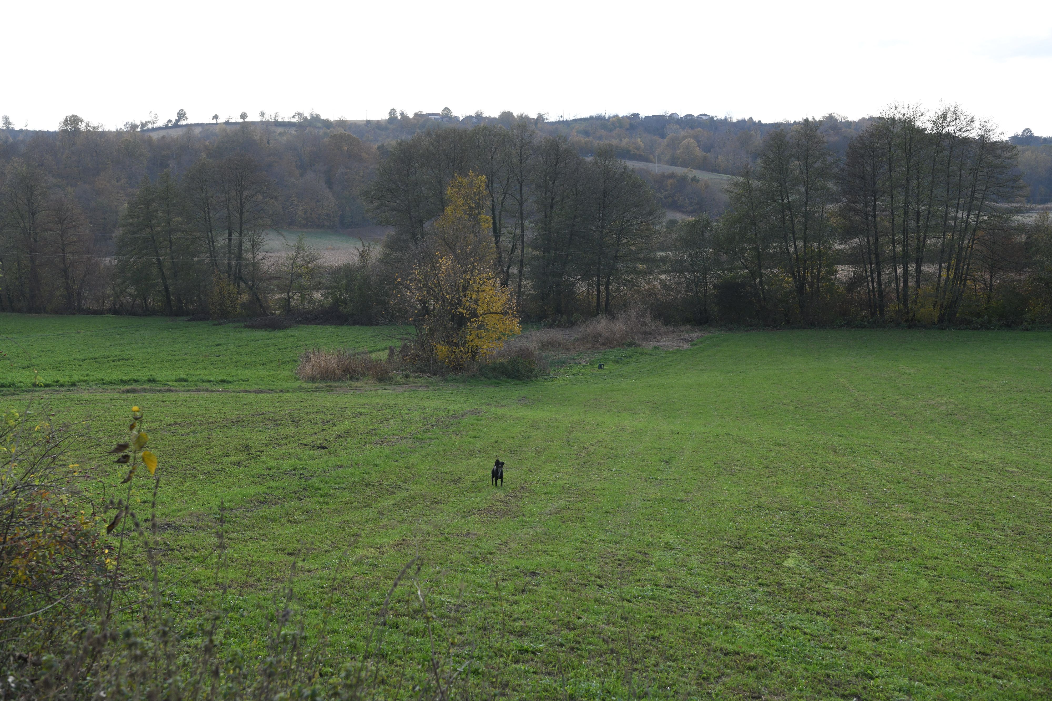 Valjevo, 02.11.2020. Krušik, Livada Foto: Filip Krainčanić/Nova.rs
