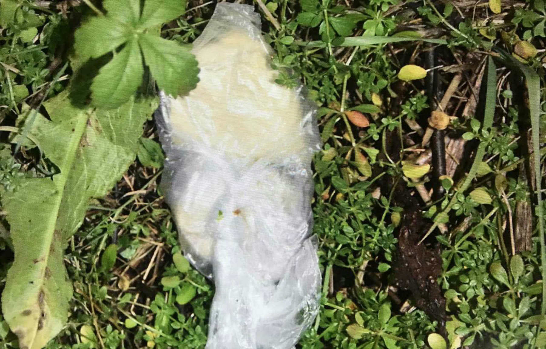heroin.jpg