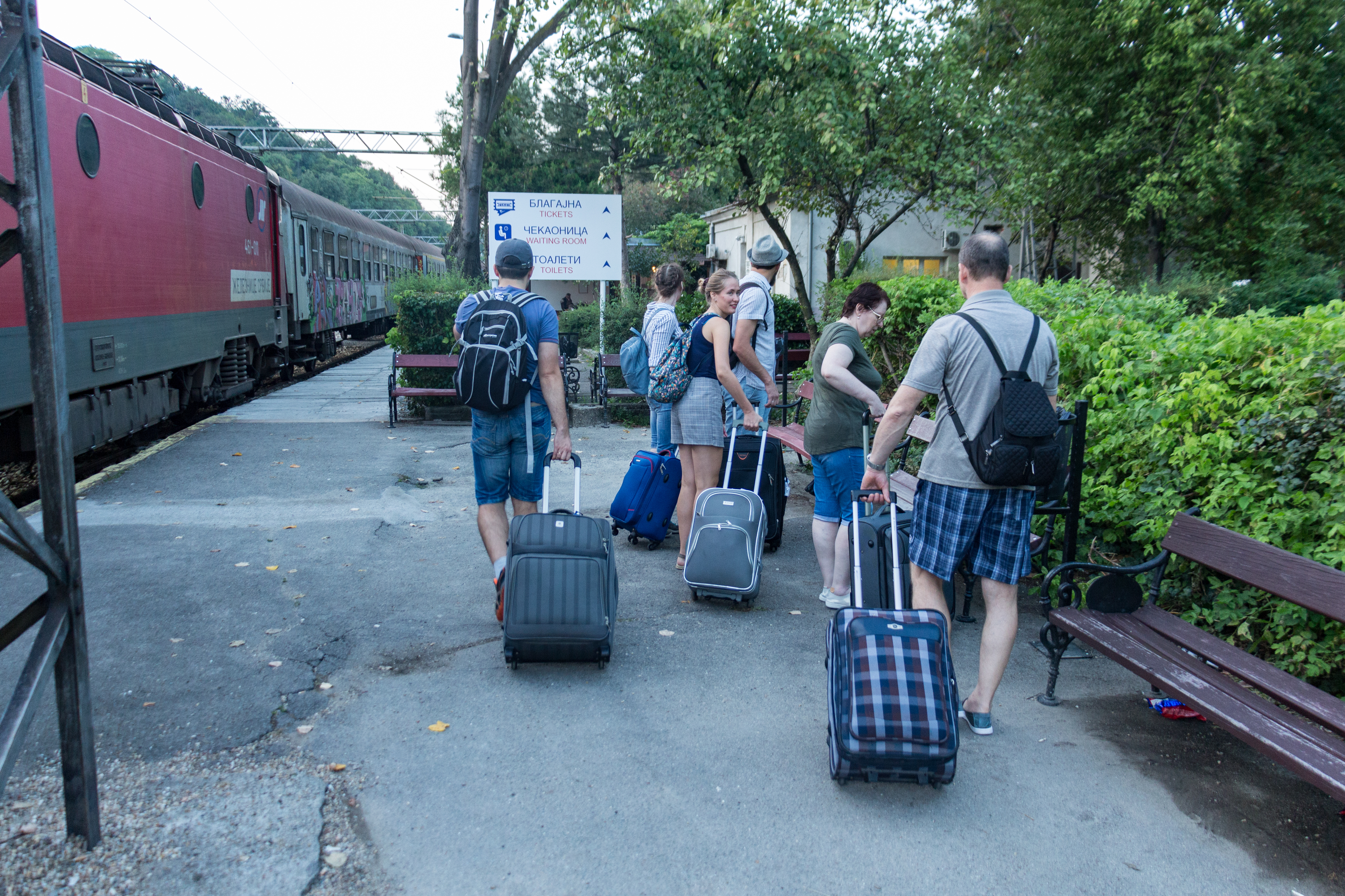 shutterstock_1321916114Marija Vujosevic