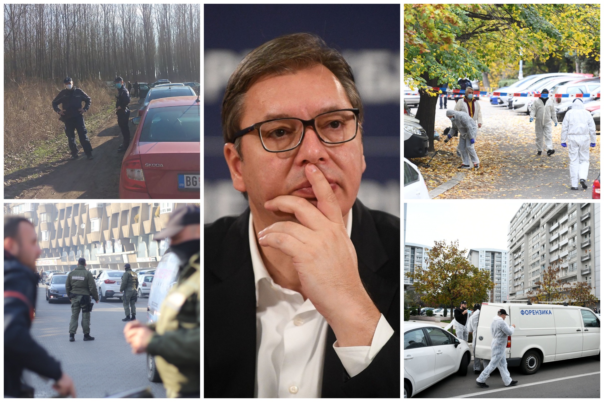 Vučić, Rad protiv mafije