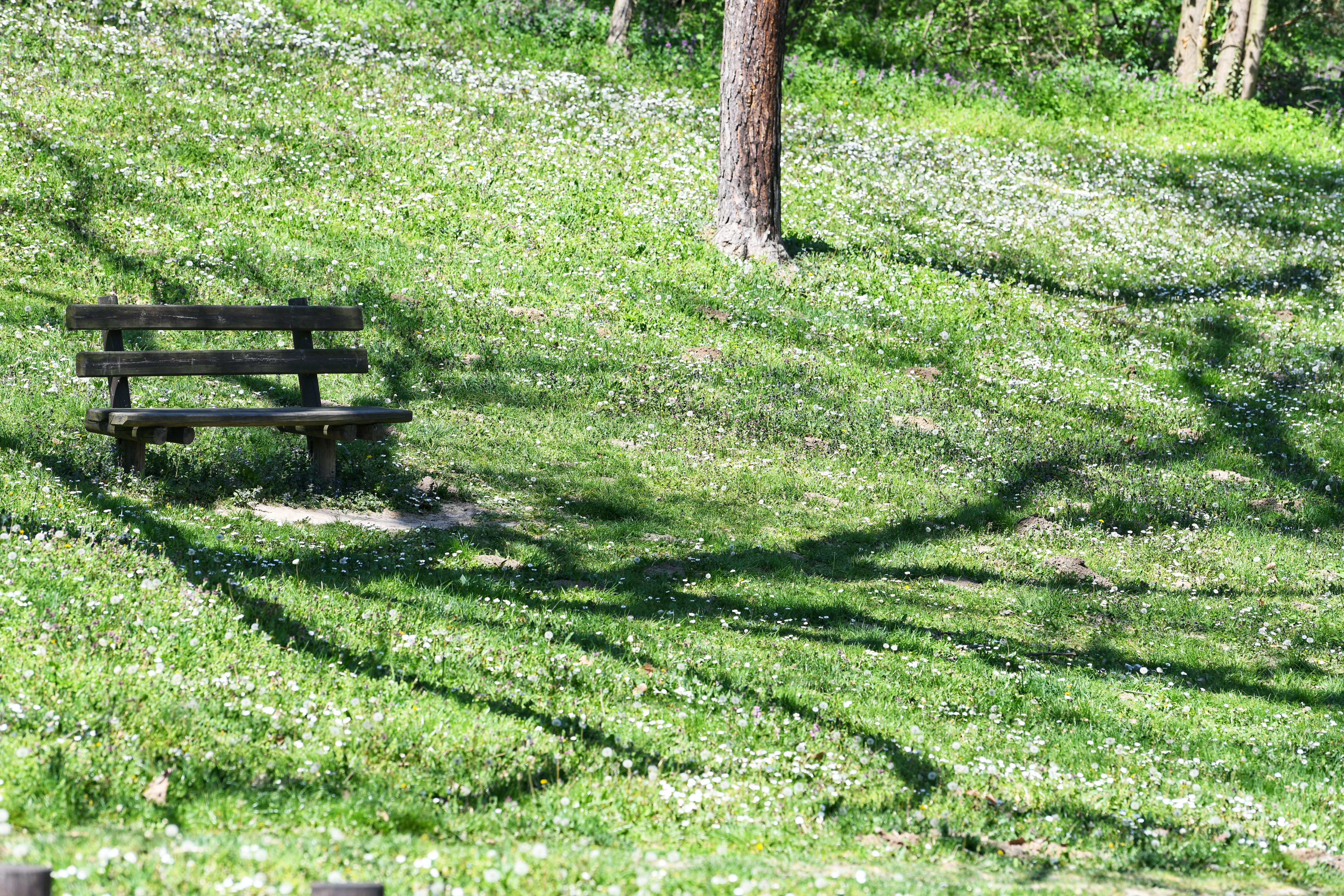 Beograd 12.04.2020. Košutnjak, Proleće, Koronavirus, policijski čas, vikend, Foto: Vesna Lalić/Nova.rs
