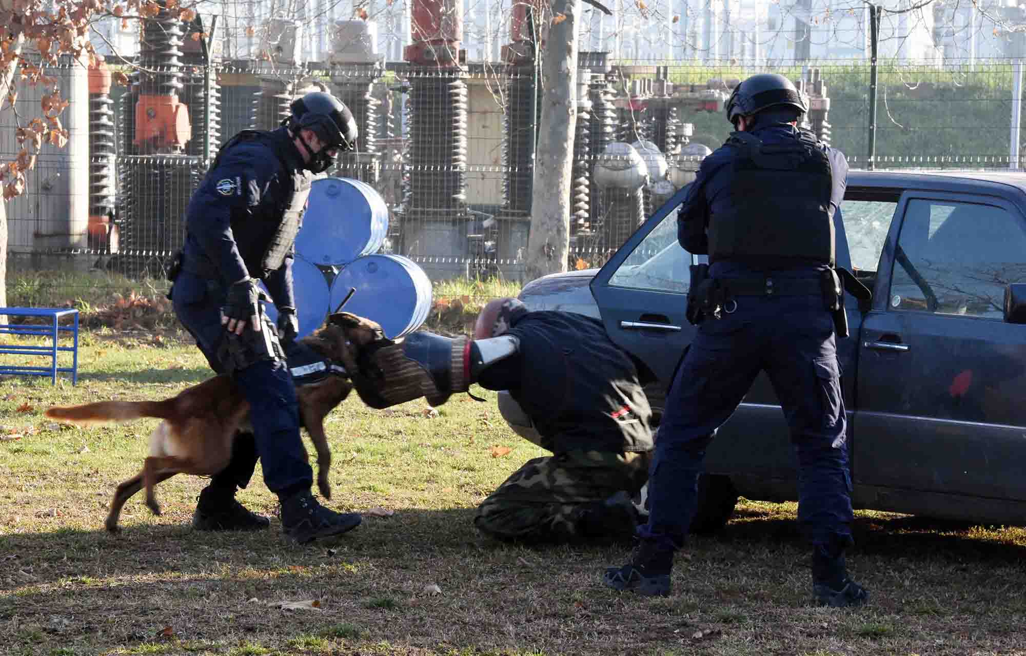 Obuka za vodice i dresuru sluzbenih pasa Cete vodica sluzbenih pasa Policijska brigada policija obilazak ministra policije Aleksandra Vulina