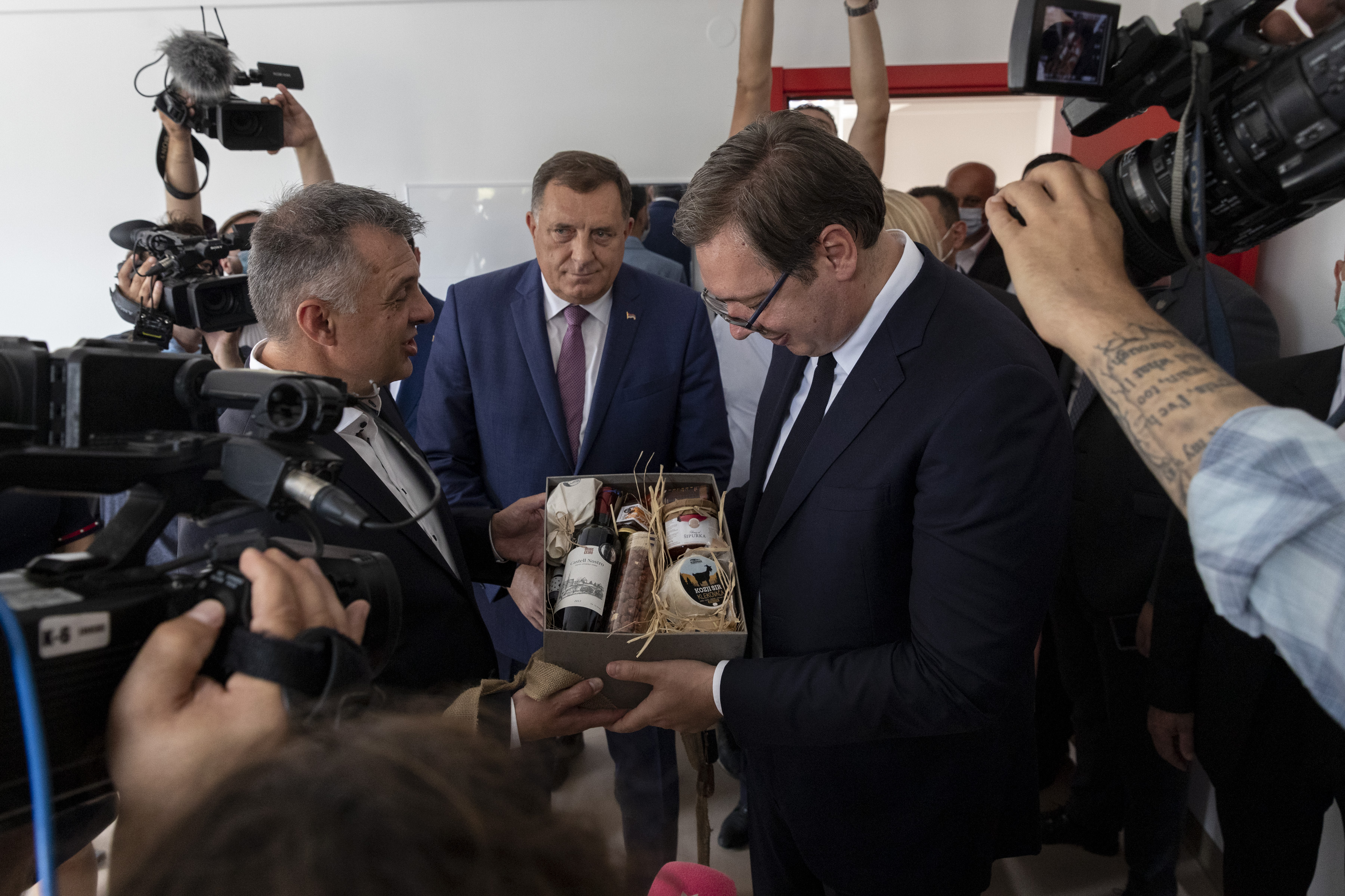 ALEKSANDAR VUCIC