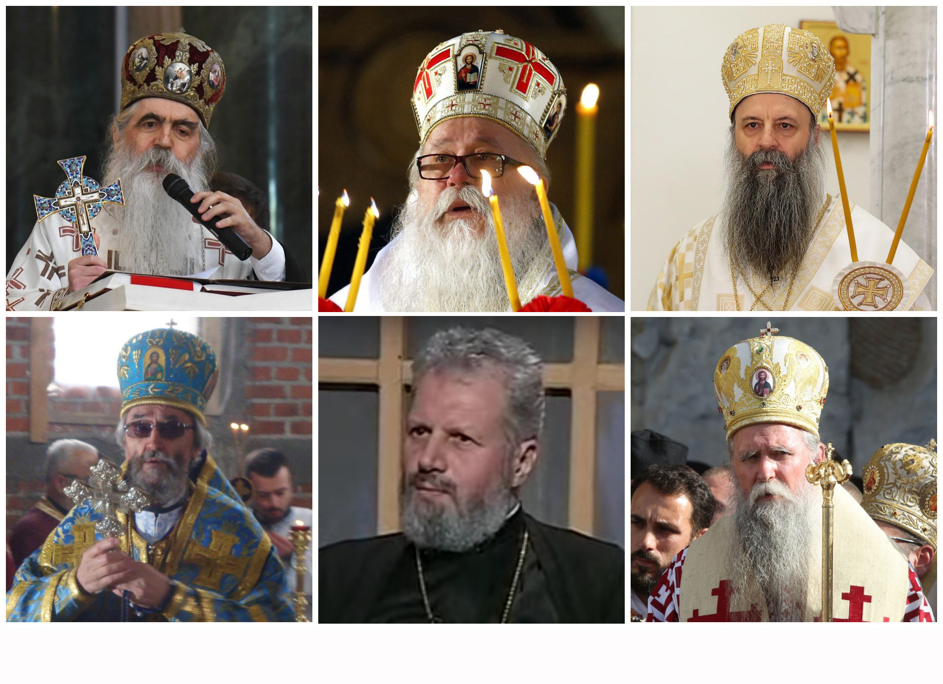 Episkop Irinej Bulović, Episkop Jefrem, Episkop Hrizostom, Episkop Porfirije, Episkop Joanikije