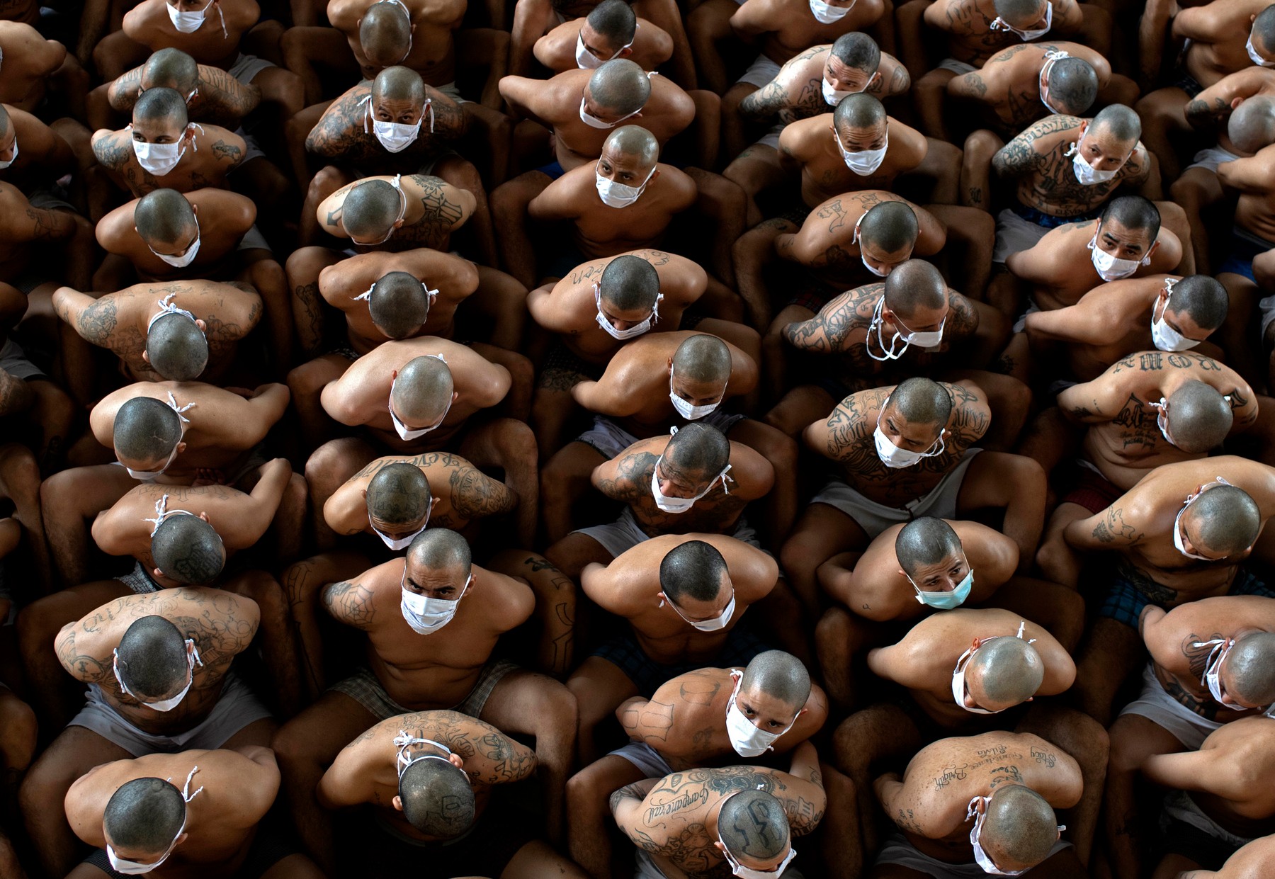 profimedia-0570831468