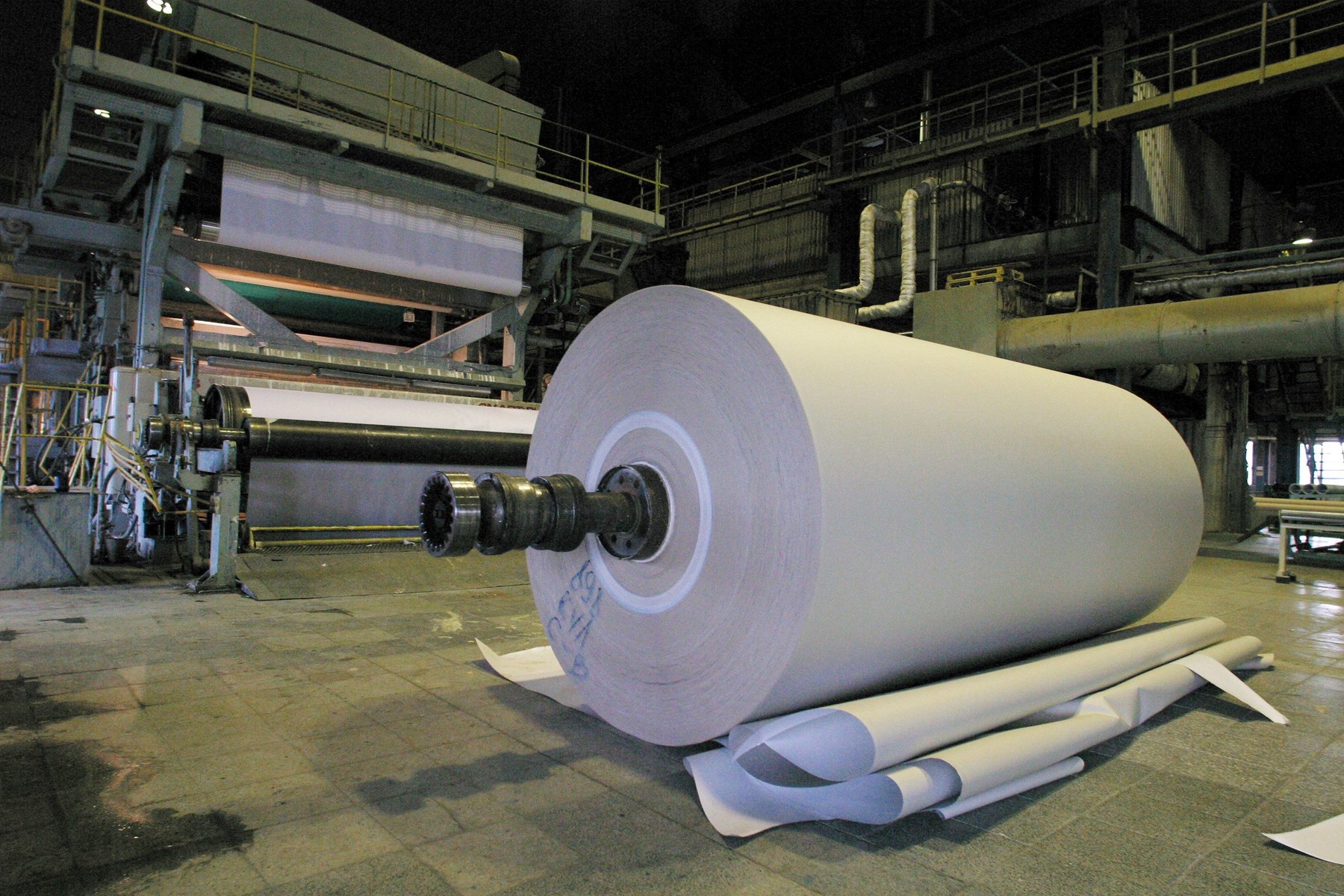 Roll of paper in a paper factory