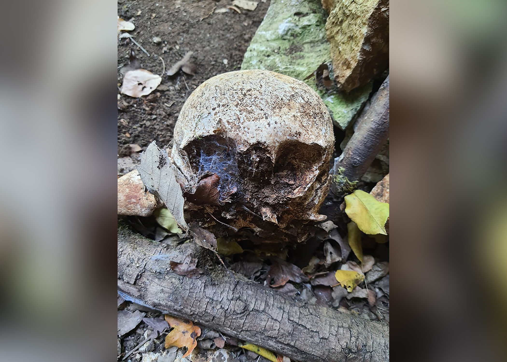 pećina kod sela Prlite kod Zaječara pronadjene
ljudske lobanje i kosti.