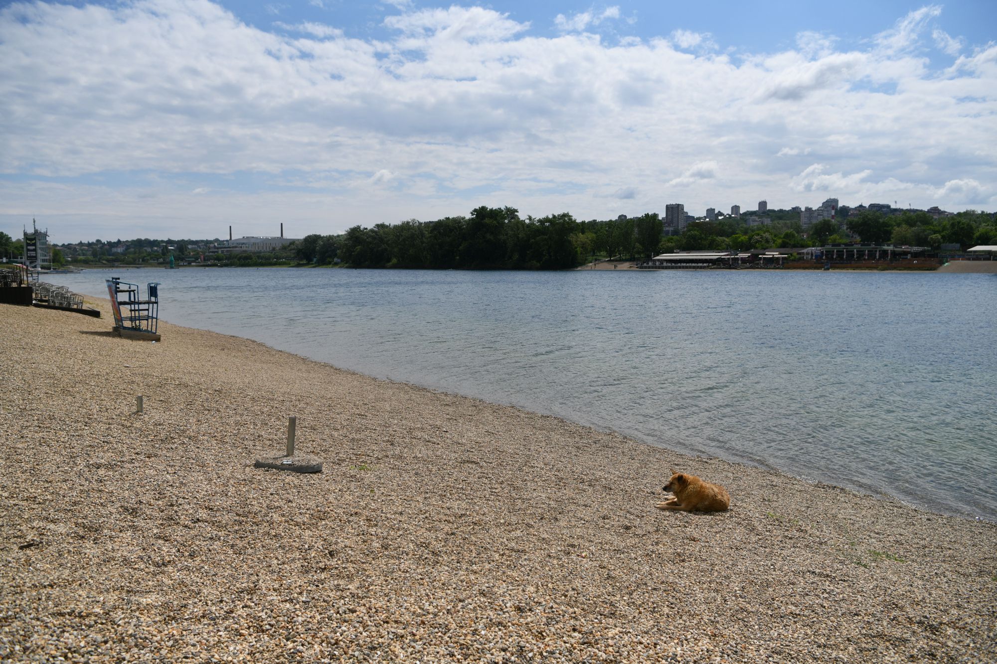 Beograd, 3.5.2020. Ada Ciganlija, nedelja, koronavirus, prvomajski praznici, pusto, pas Foto: Filip Krainčanić/Nova.rs