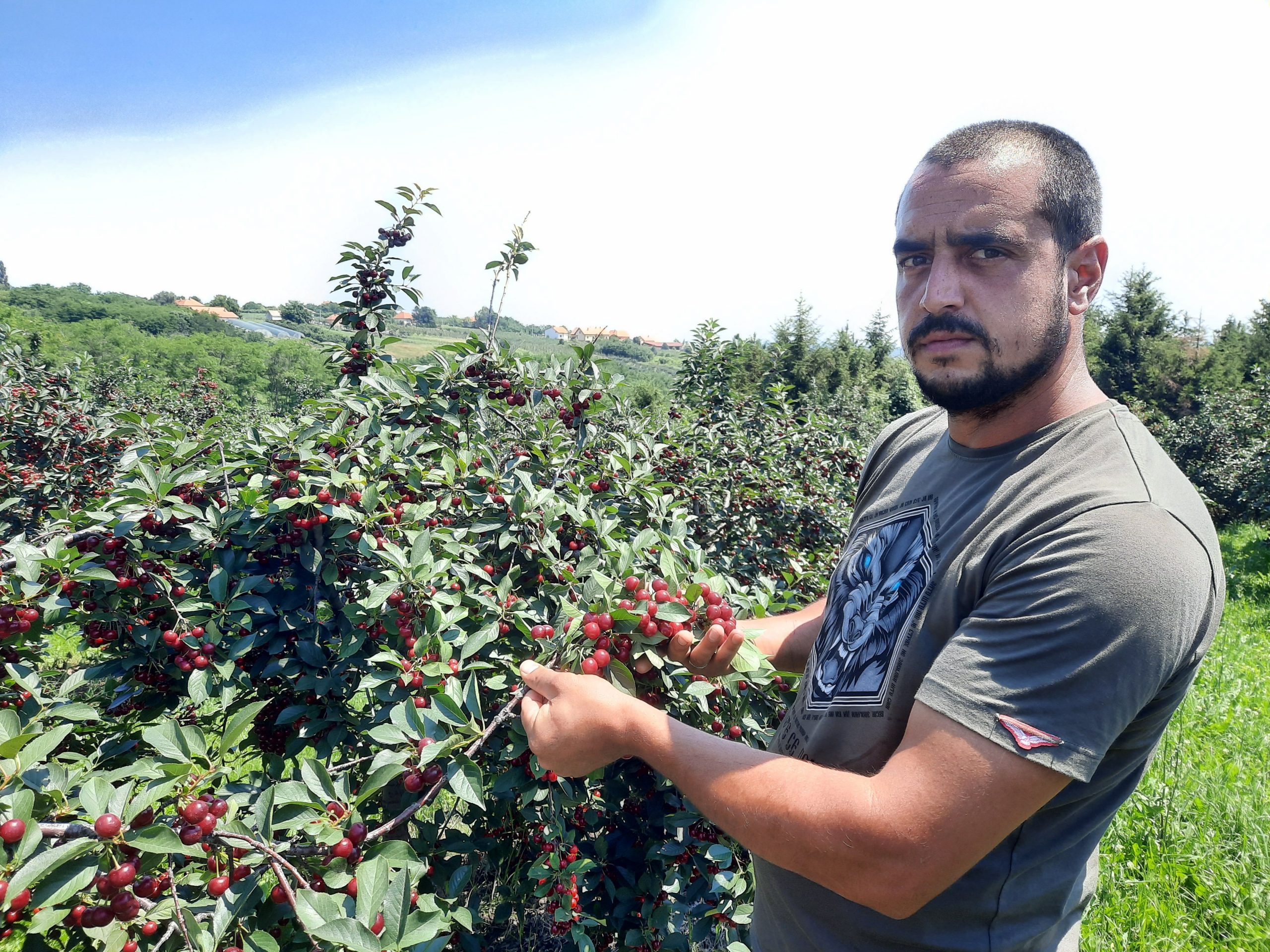 Topola, 29.06.2020. Protest, voćari, protest voćara Foto: Aleksandra Petrović/Nova.rs