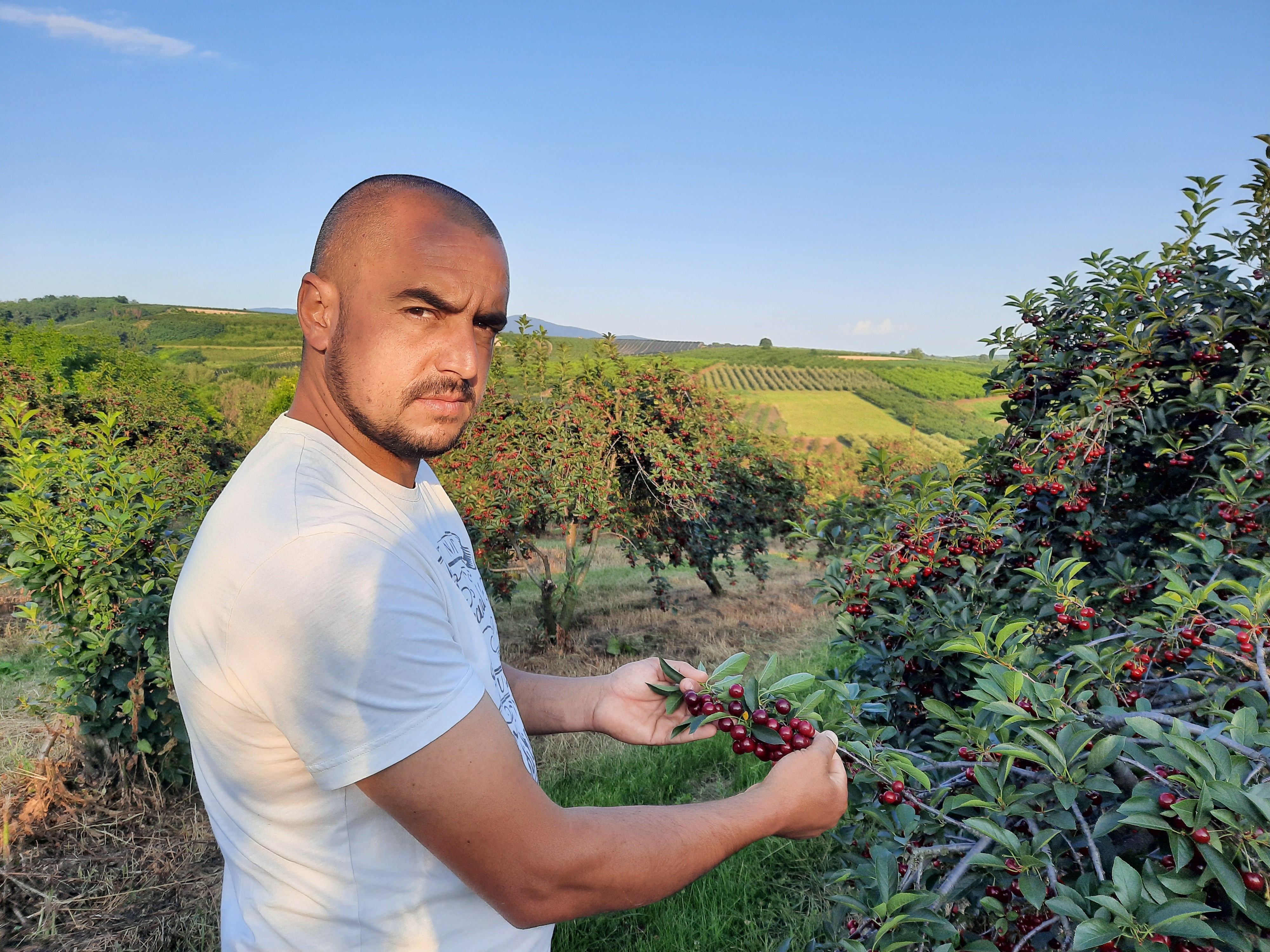 Marko Nikolic Ovsiste