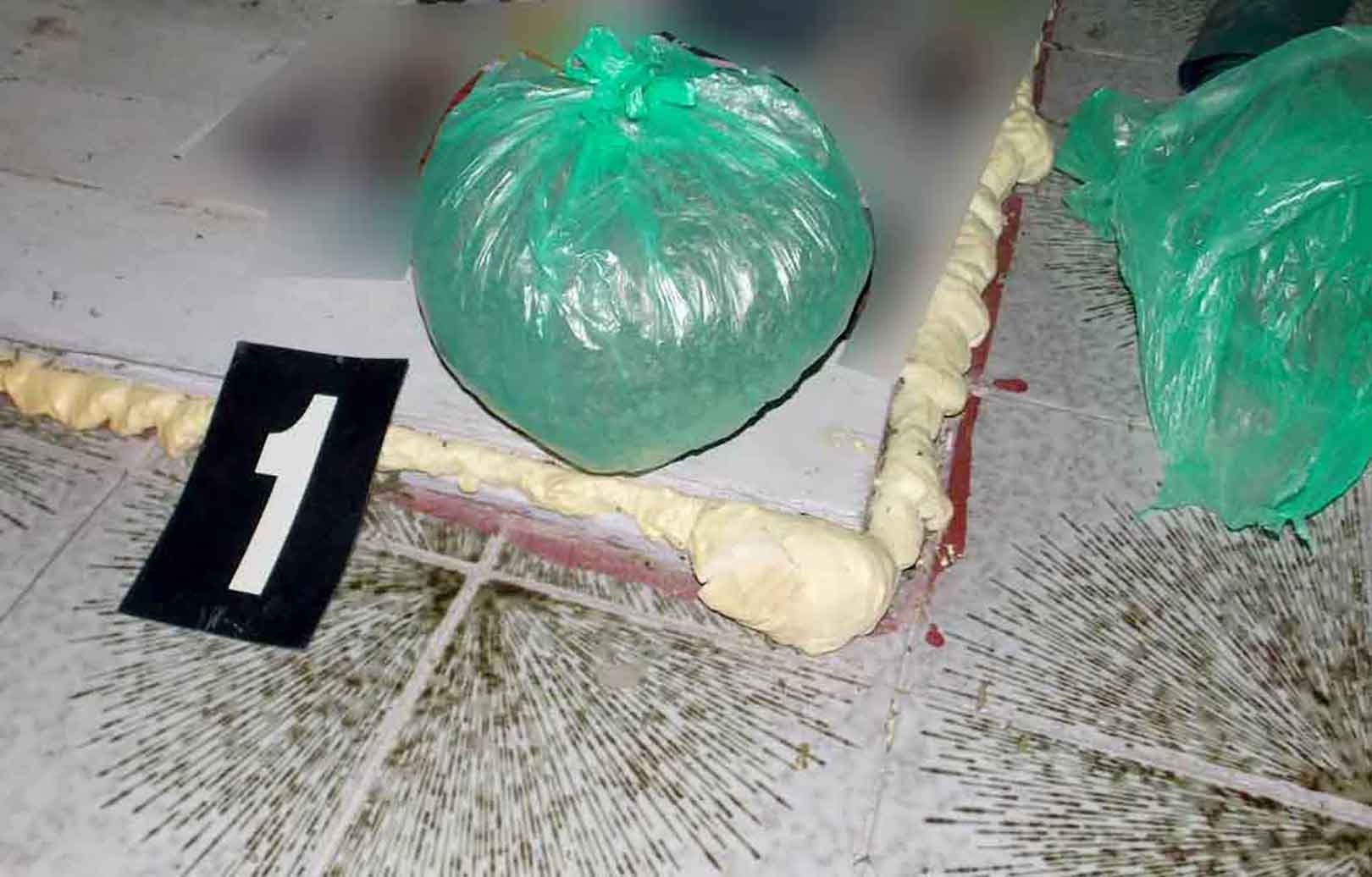 Zaplenjena droga, zaplena, marihuana