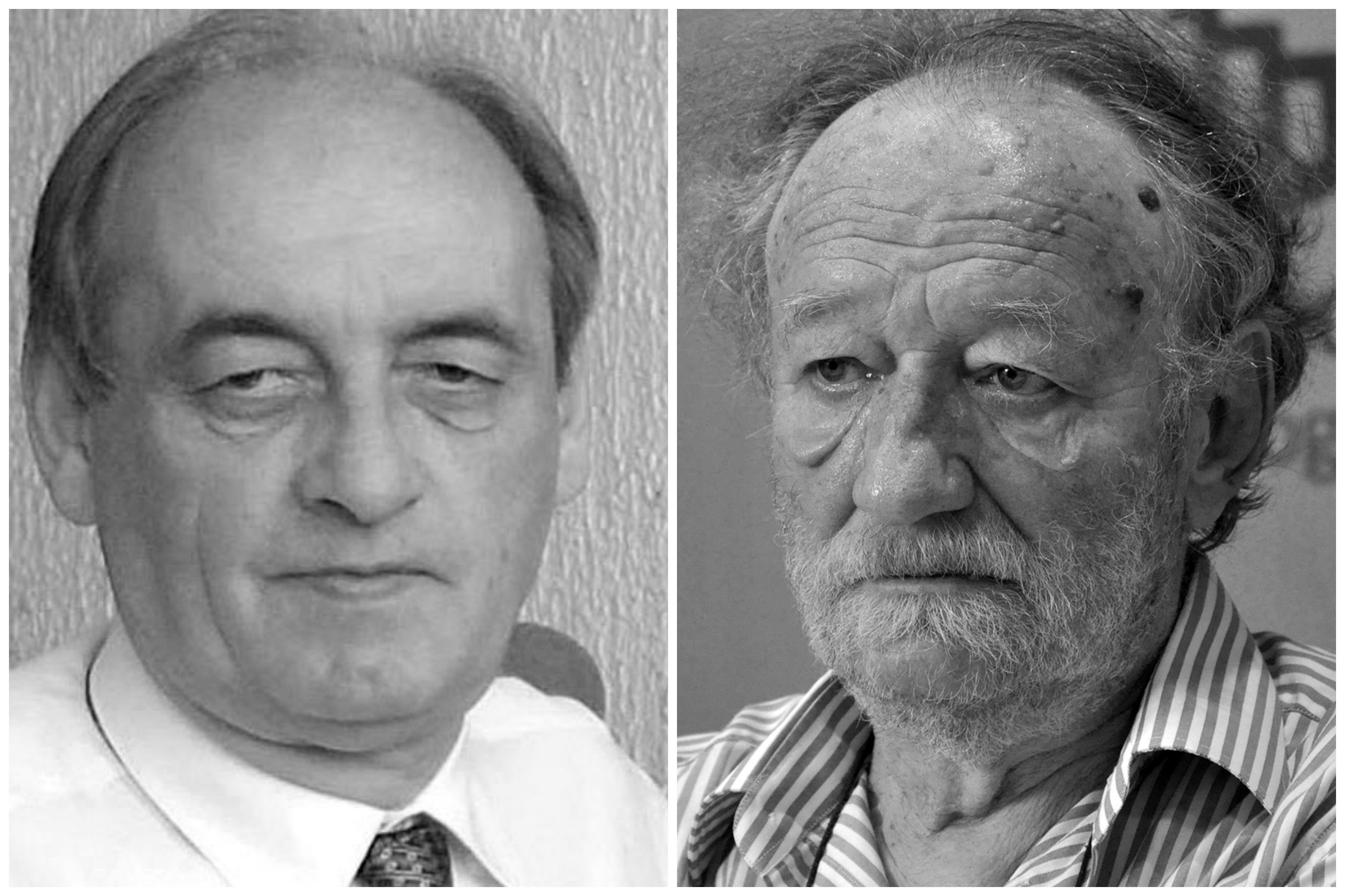 Dušan Mitrović i Grujica Spasović