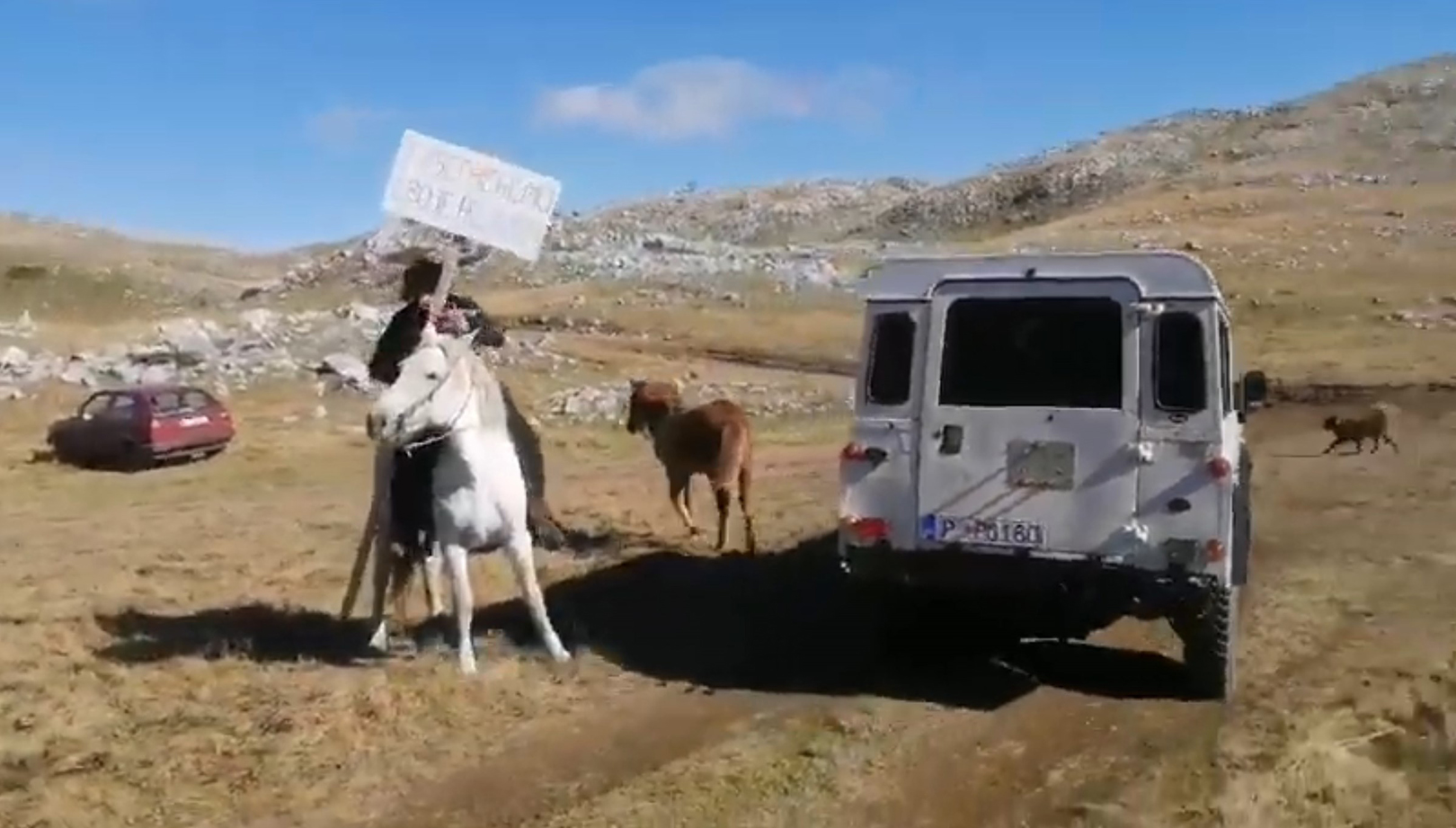 Sinjajevina protest