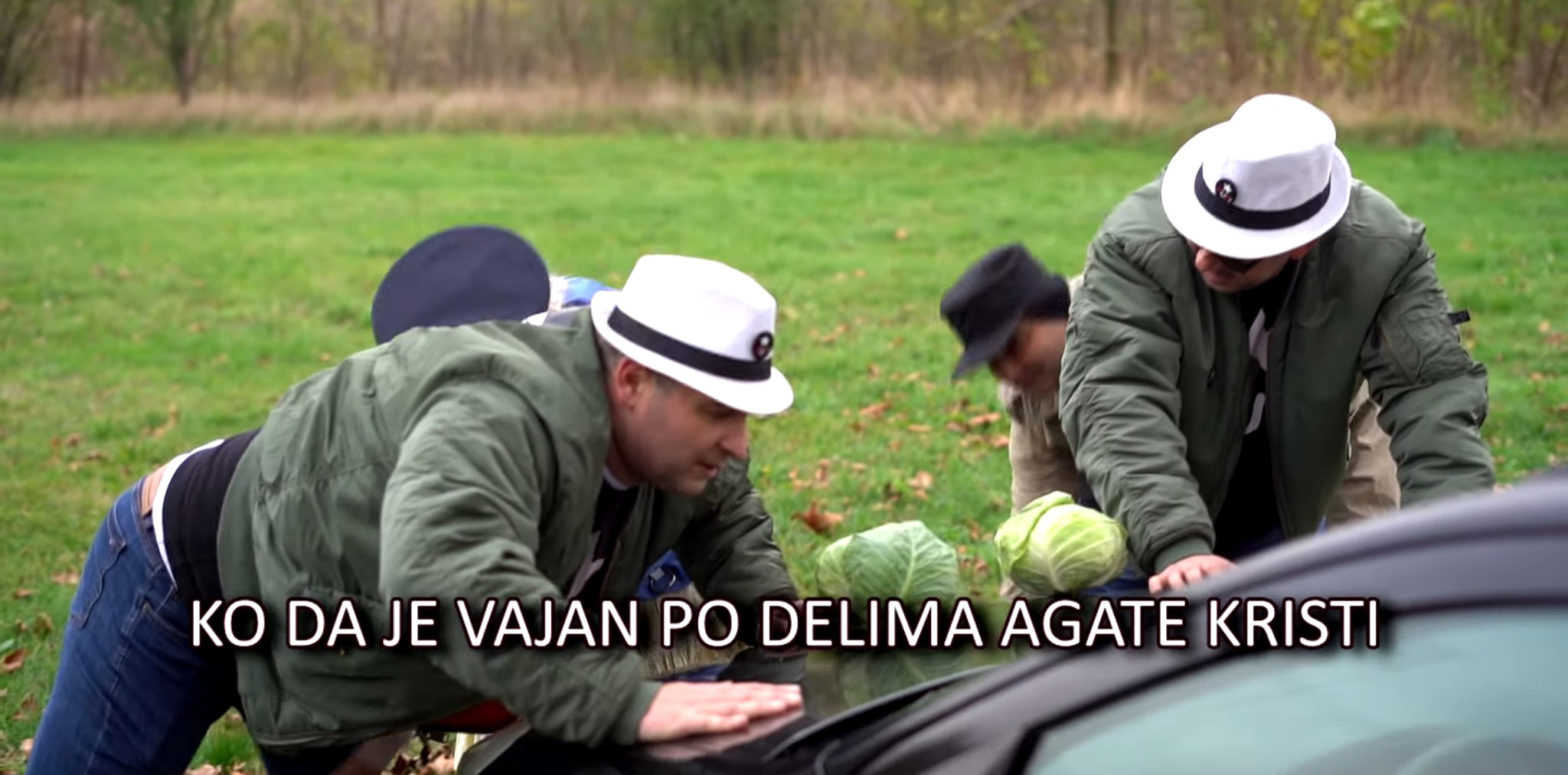 Vulin hvata Miška - PUF