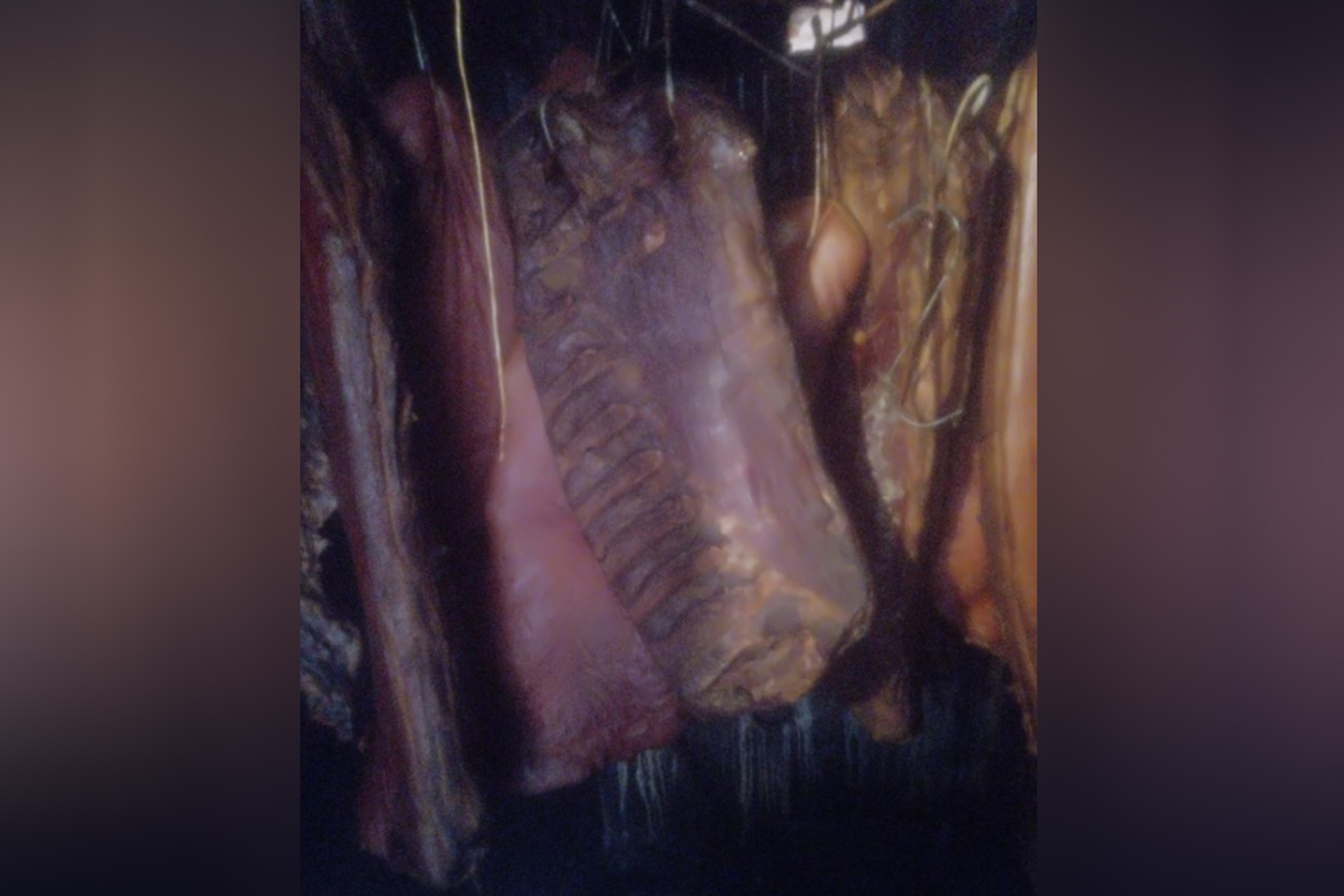 SAMO JEDNOM KORISTITI