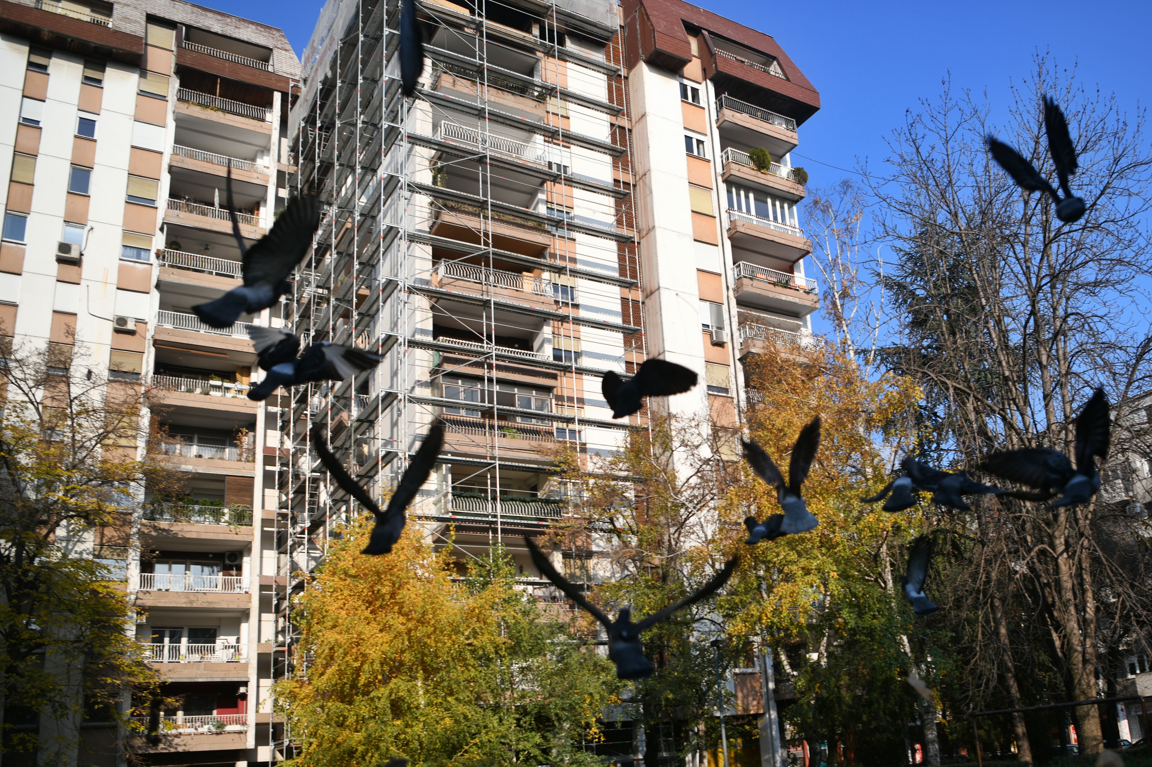 Beograd, 24.11.2020. Dorćol, Visokog Stevana, preminula Minja D, povređena u požaru 27 oktobra, požar Foto: Filip Krainčanić/Nova.rs