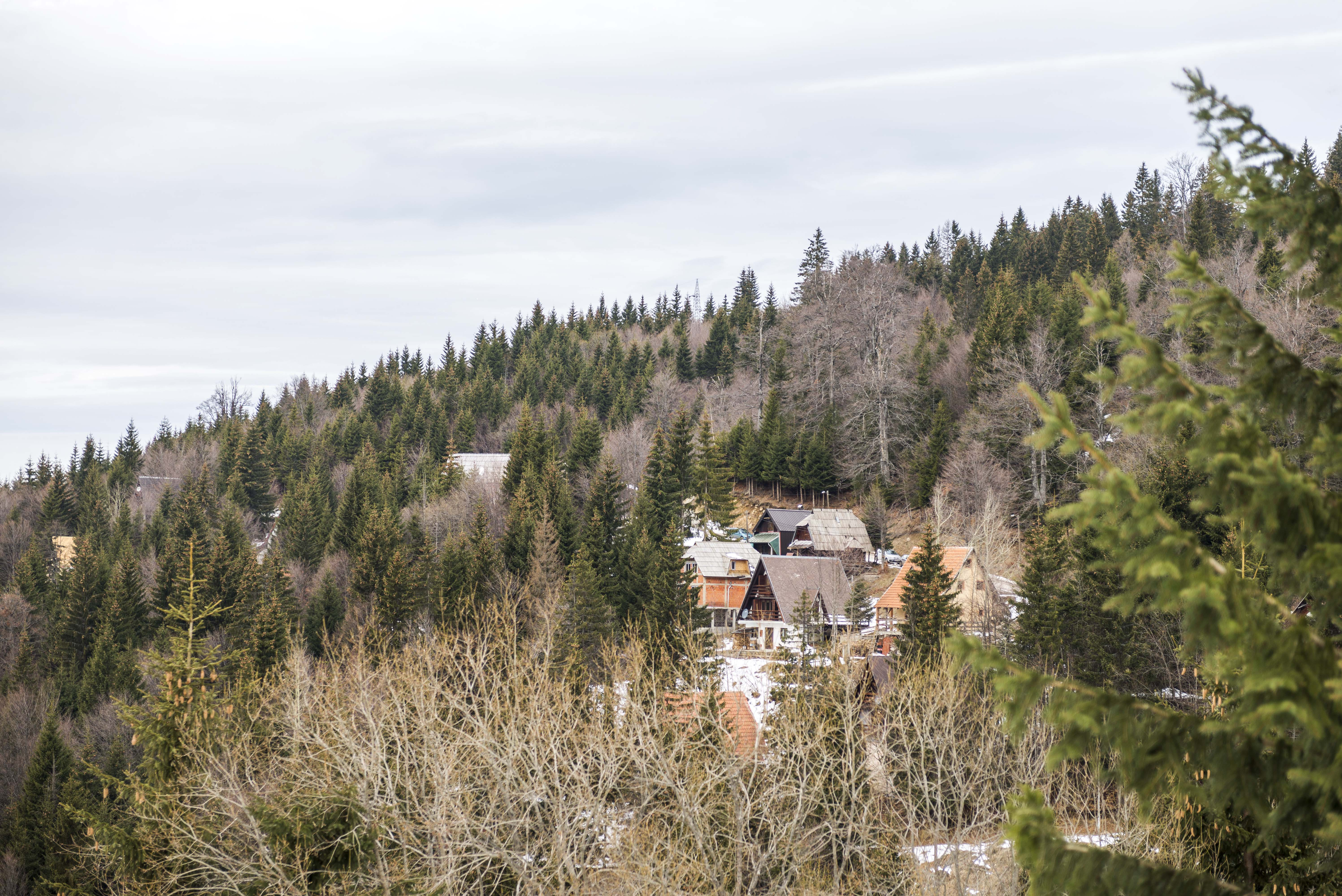 Kopaonik Foto: Shutterstock
