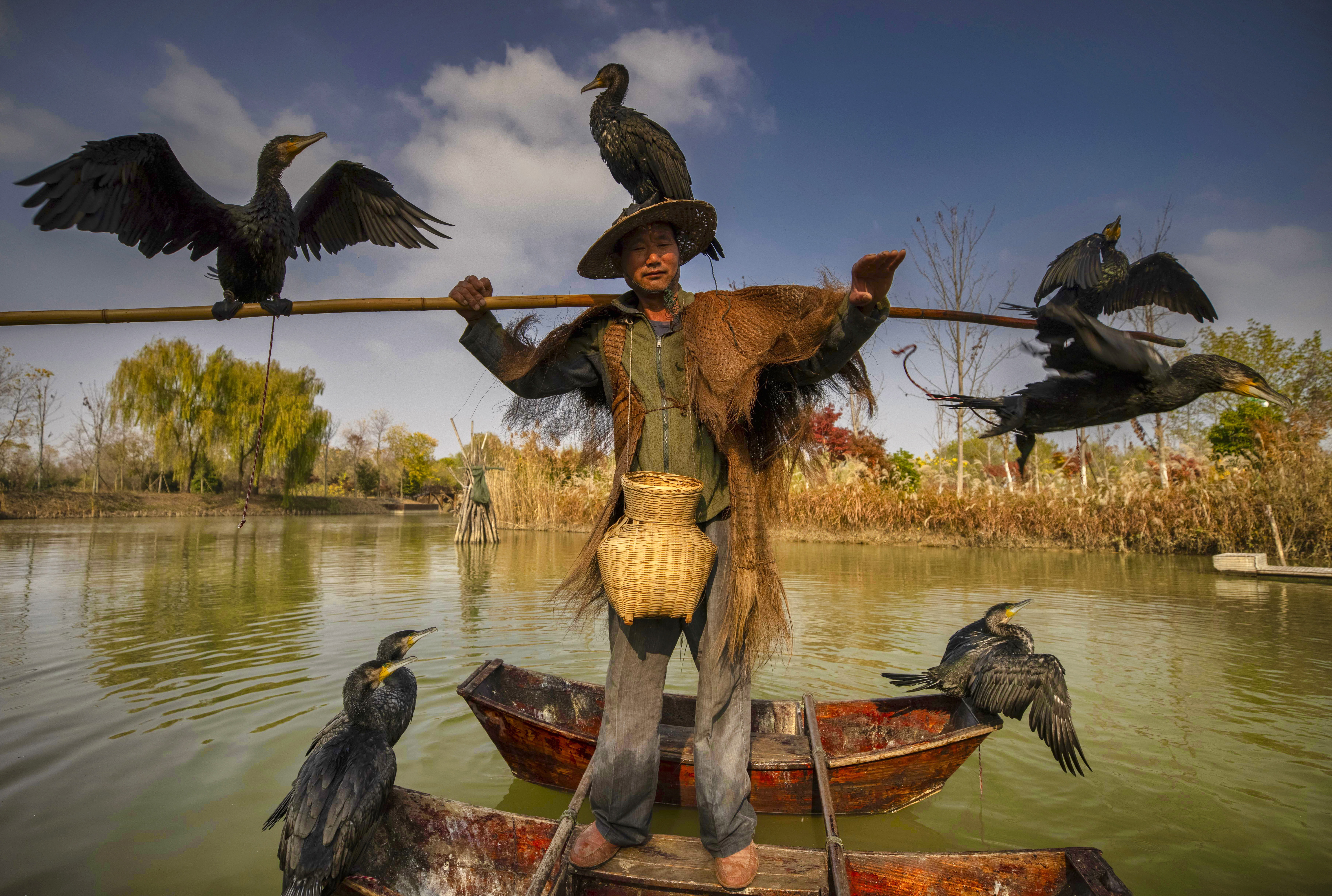 Hongze Lake Wetland in China