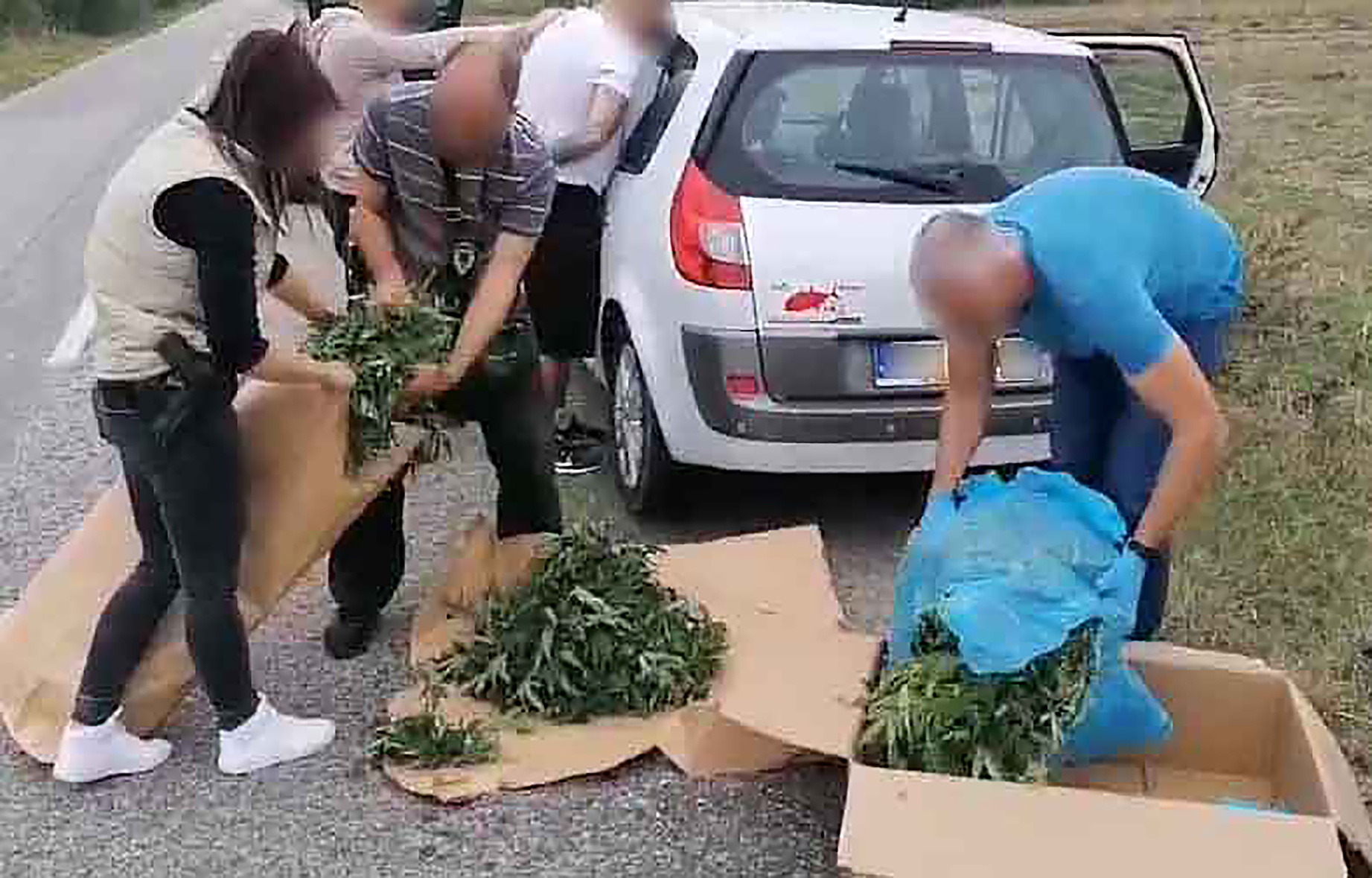 ZAPLENJENI NARKOTICI