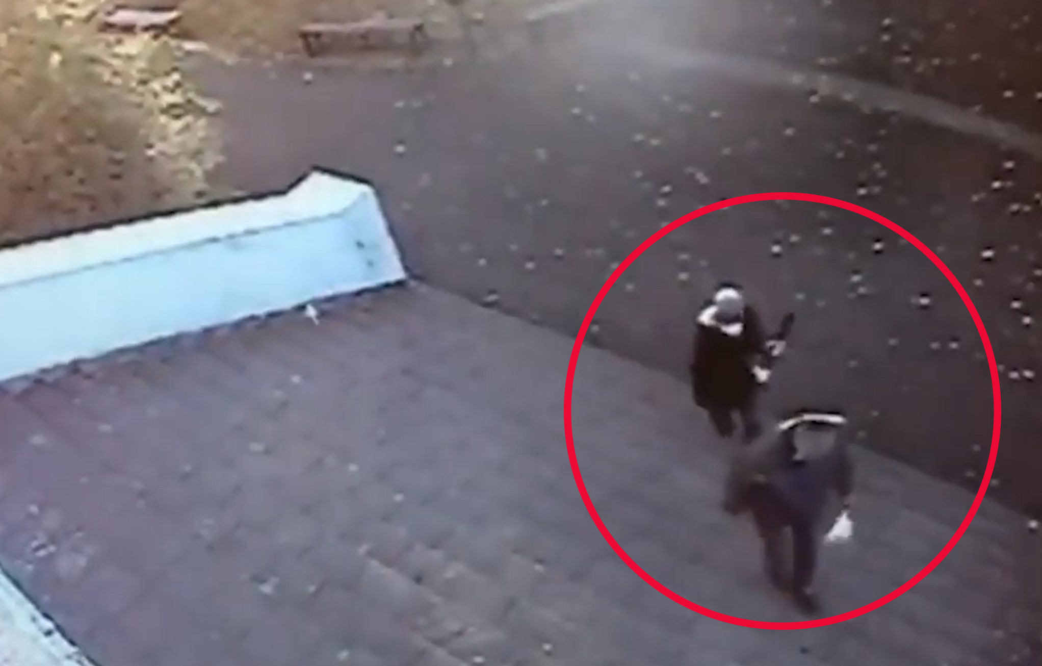 Napadnut profesor Ekonomsko-trgovačke škole u Boru