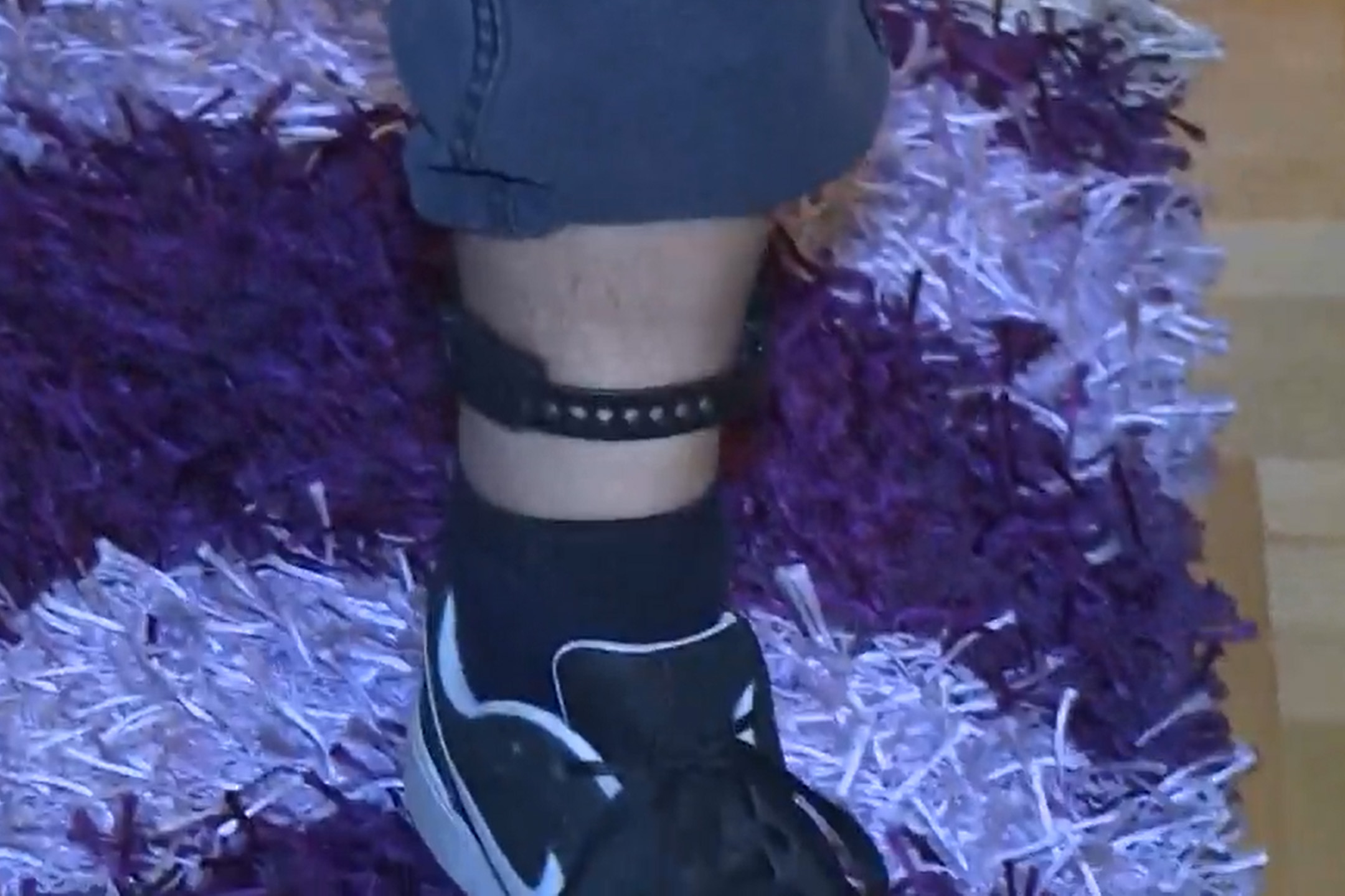 Krušik, Aleksandar Obradović, uzbunjivač, nanogica