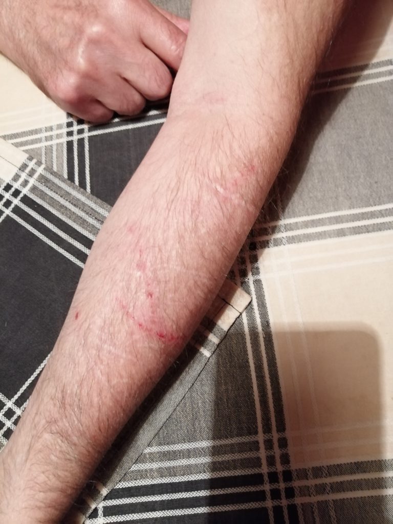 Bor, Udario čoveka pesnicom u parku jer nema masku preko lica