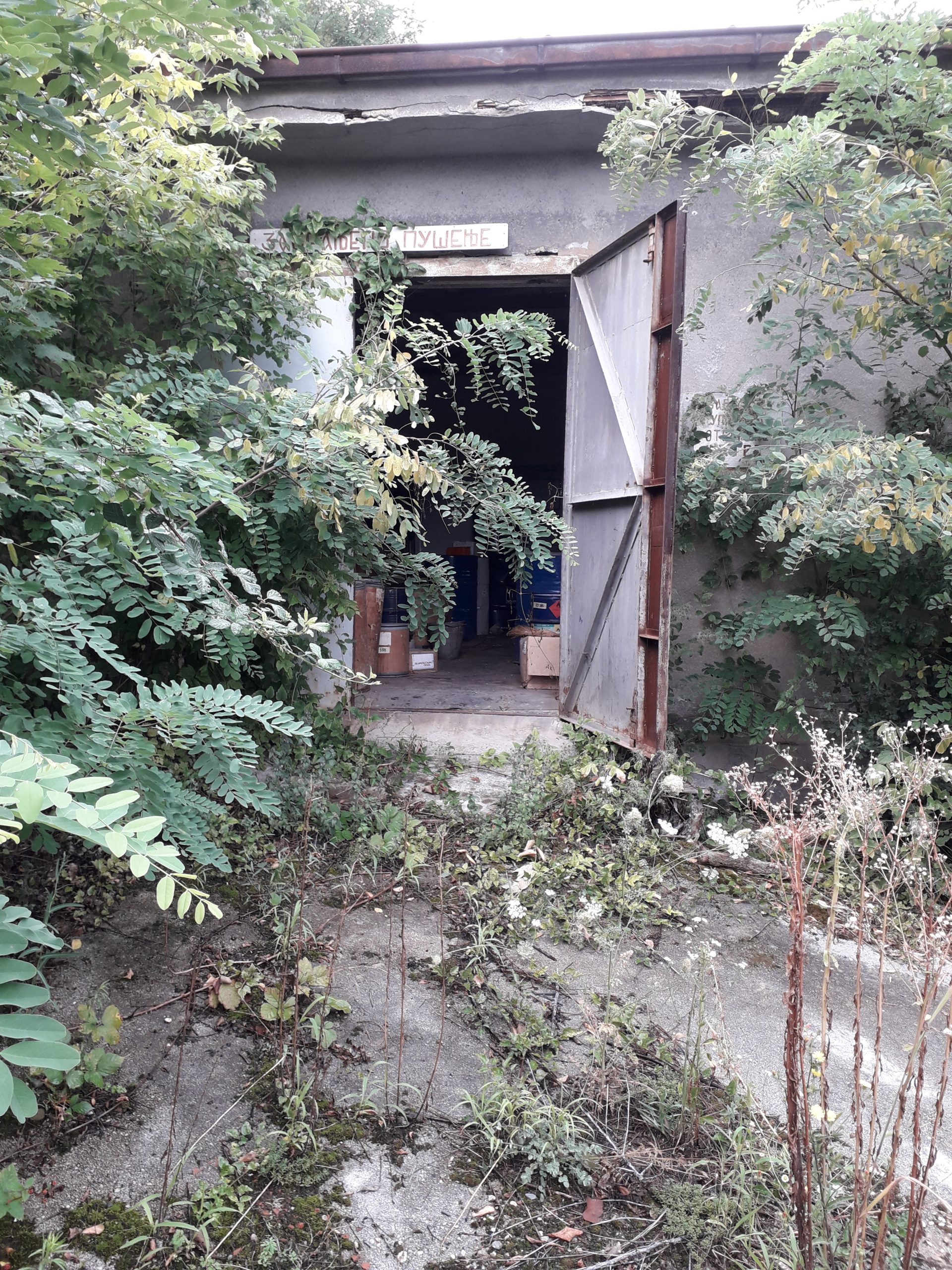 Ei Niš, burići Foto: Radiša Spasić