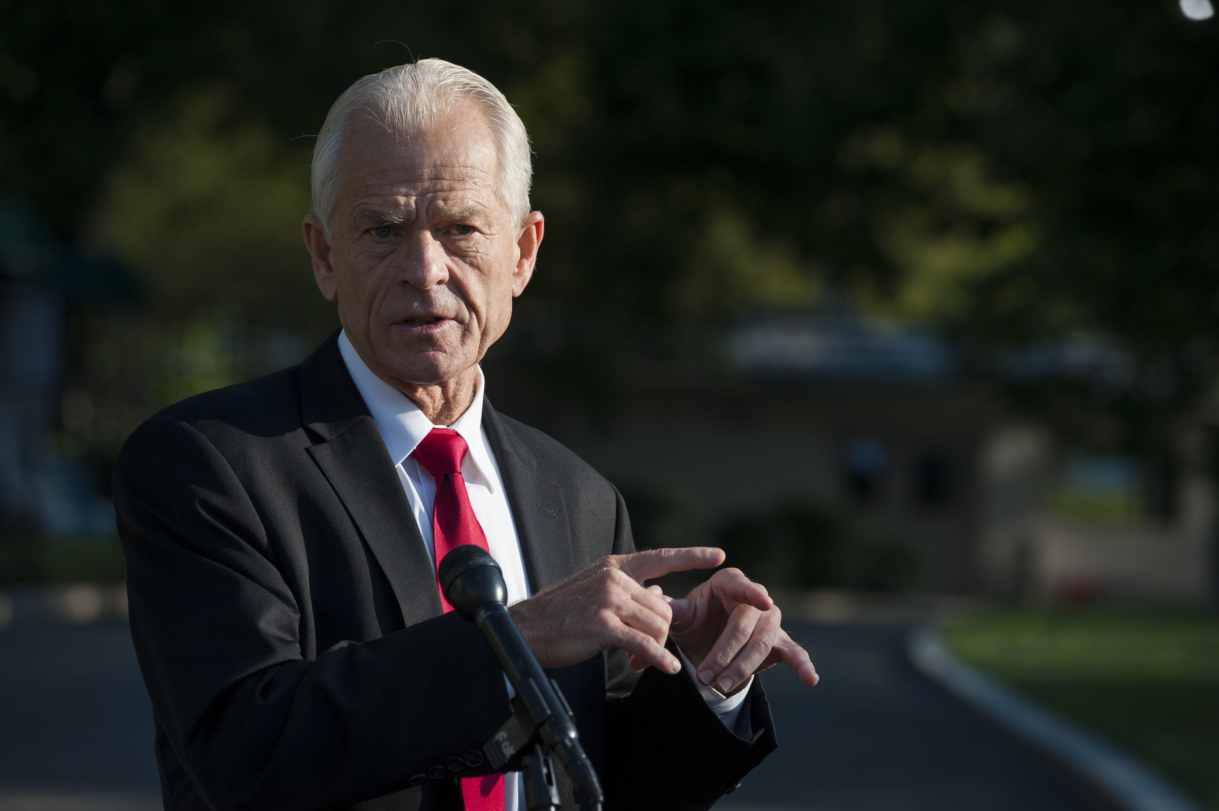 White House Trade Adviser Peter Navarro talks with reporters at the White House