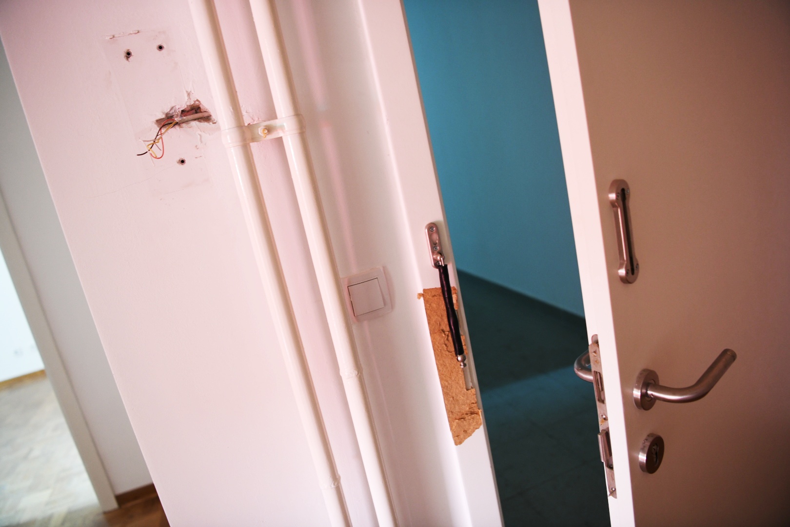 naselje Kamendin_310820_foto Vesna Lalić-Nova.rs (54)