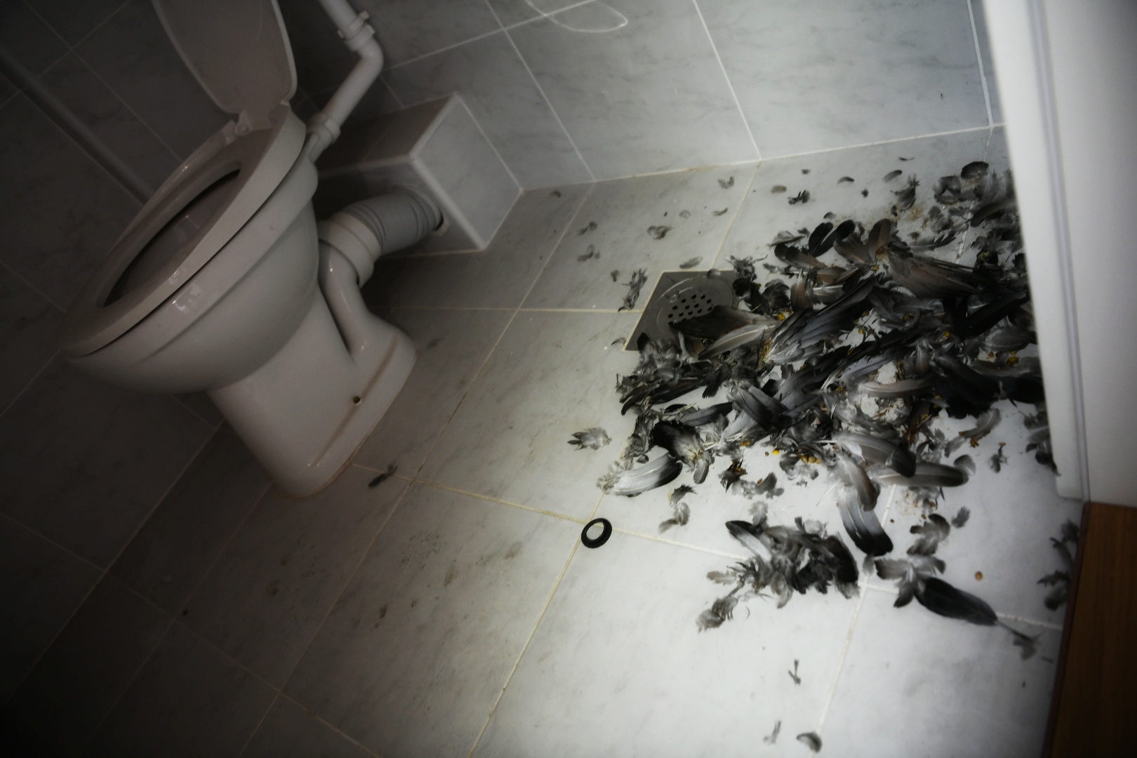 naselje Kamendin_310820_foto Vesna Lalić-Nova.rs (36)