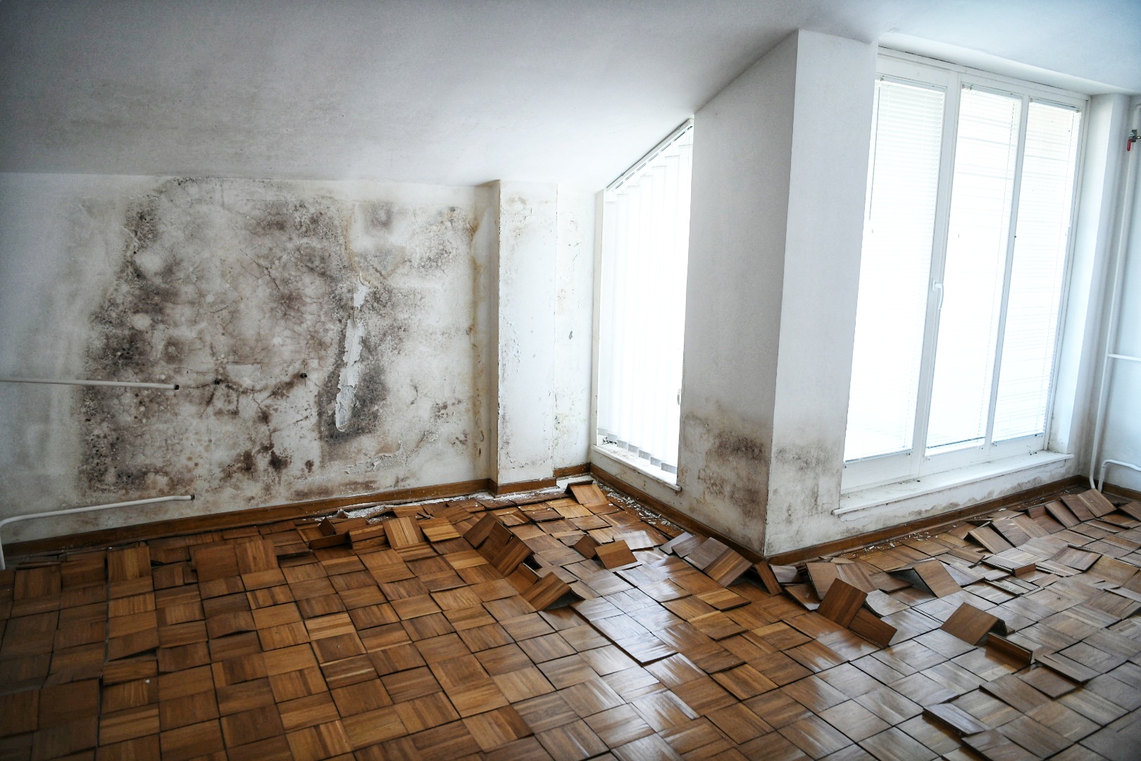 naselje Kamendin_310820_foto Vesna Lalić-Nova.rs (30)