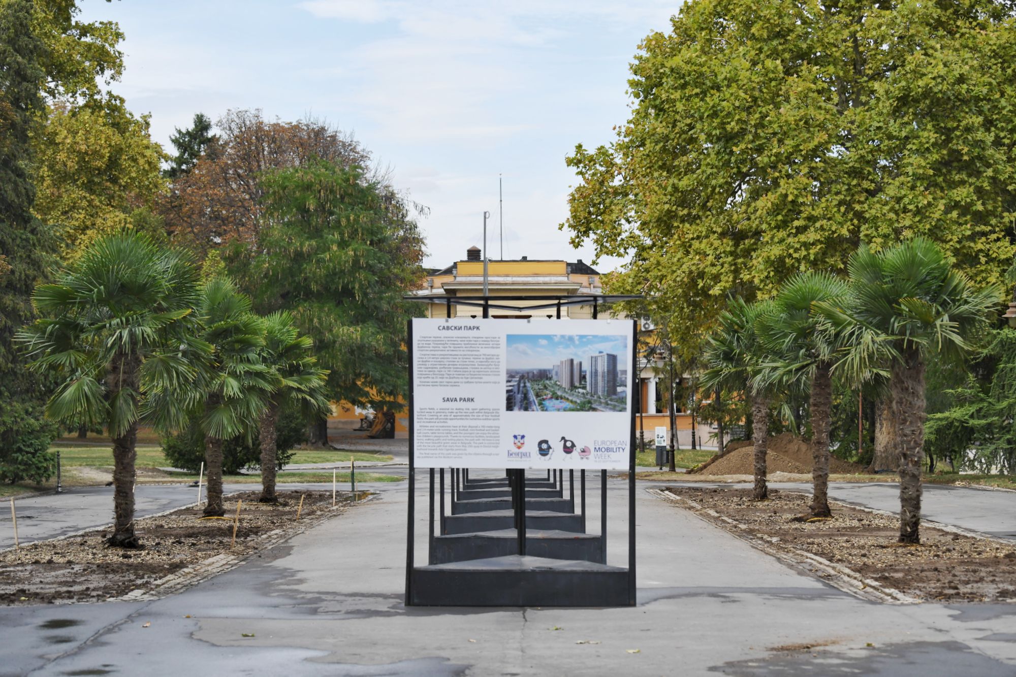 Beograd 23.09.2020. Palme, palma, Kalemegdan, kod Paviljona Cvijete Zuzorić Foto: Goran Srdanov/Nova.rs