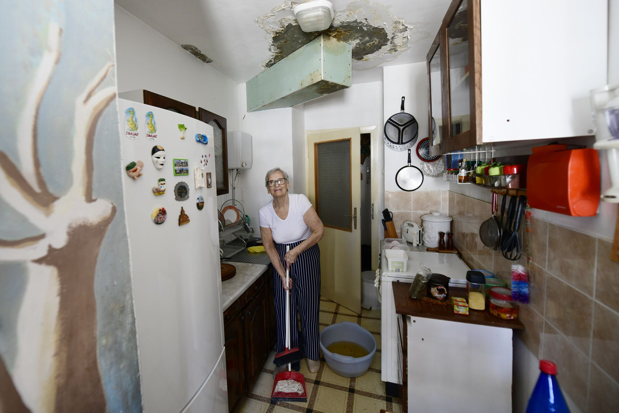 Beograd 28.06.2020. Ankica Milenković, žena, supruga poznatog arhitekte Foto: Goran Srdanov/Nova.rs