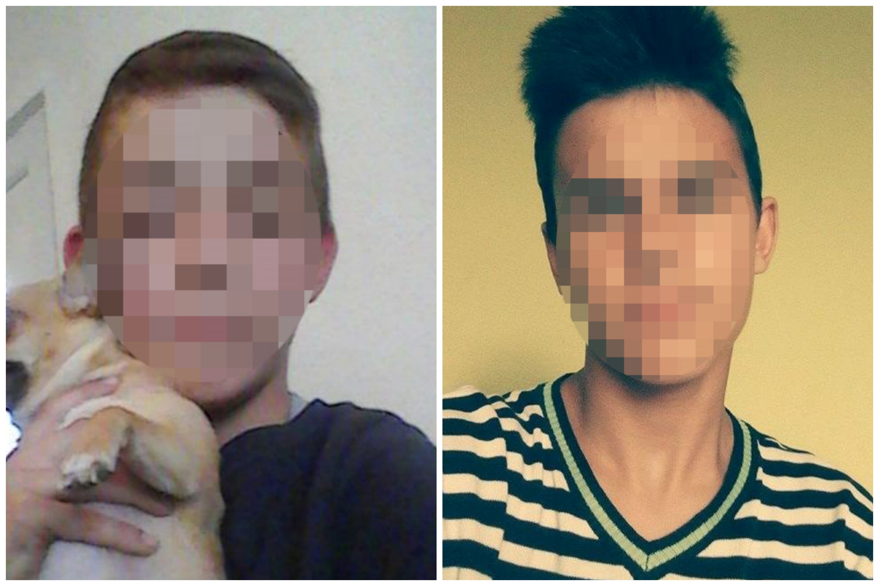 Poginuli decaci kod Vrnjacke banje, Petar Peki Nenadovic, Aleksa Gavrilovic