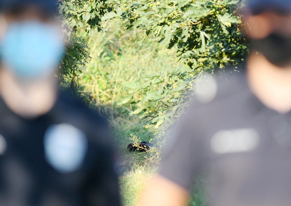 Beograd, 14. septembar 2020.  Borča, Kotež, ubistvo i samoubistvo, majka i sin, policija, uvidjaj Foto:Vesna Lalić/Nova.rs