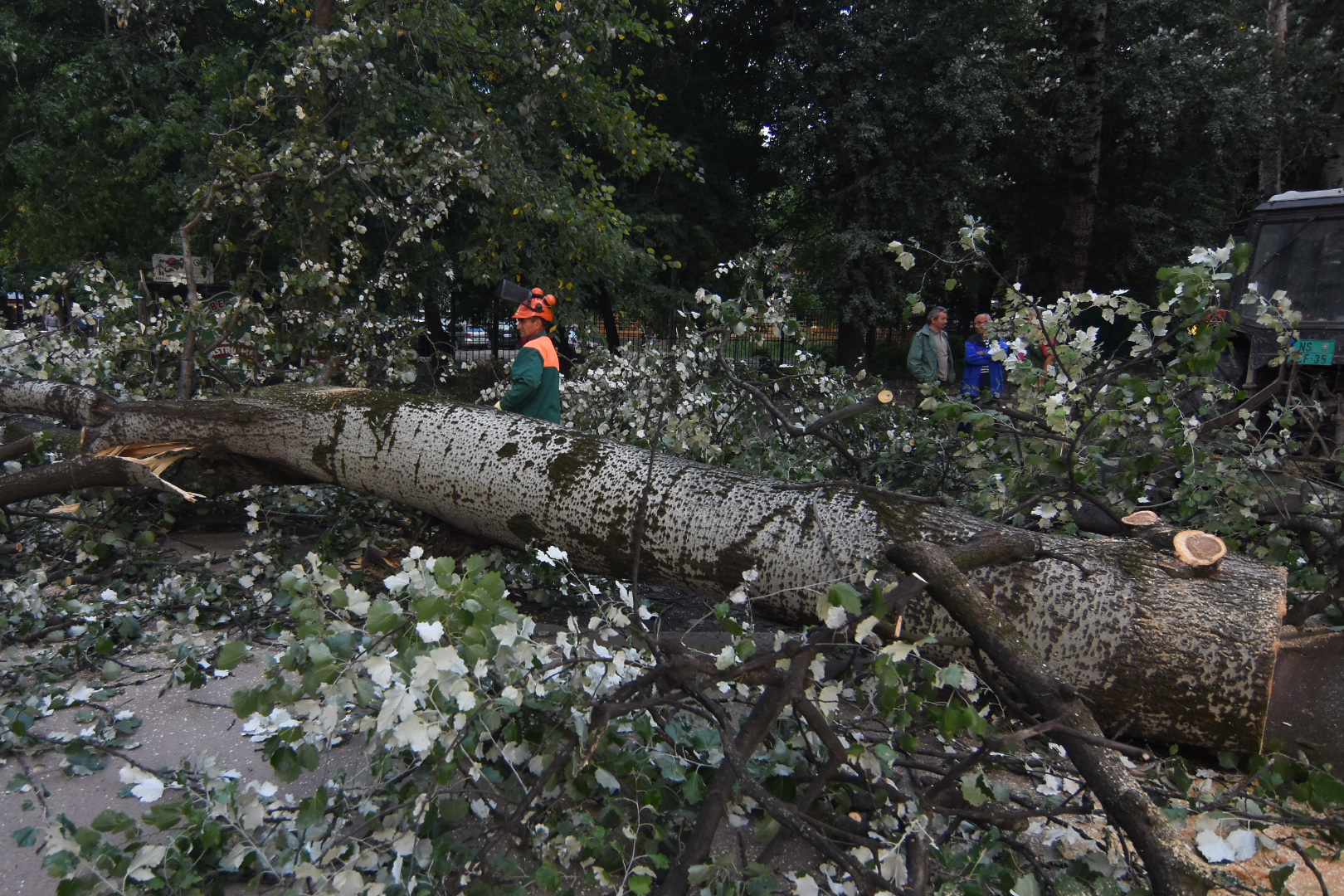 Novi Sad 29. septembar 2020. Na ribarskom ostrvu pala je toploa koja je ostetila nekoliko automobila na parkingu Foto:Nenad Lazić/Nova.rs