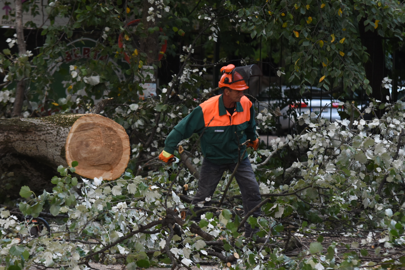 Novi Sad 29. septembar 2020. Na ribarskom ostrvu pala je toploa koja je ostetila nekoliko automobila na parkingu Foto:Nenad Lazić/Nova.rs