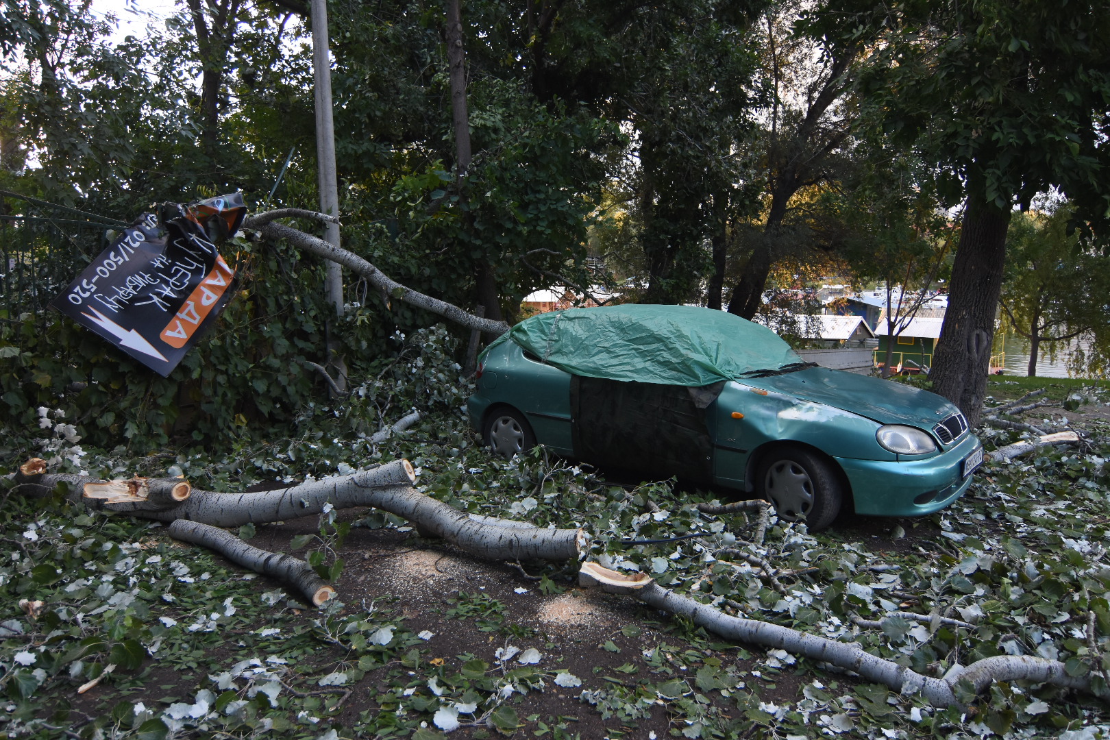 Novi Sad 29. septembar 2020. Na ribarskom ostrvu pala je toploa koja je ostetila nekoliko automobila na parkingu Foto:Nenad Lazić/Nova.rs