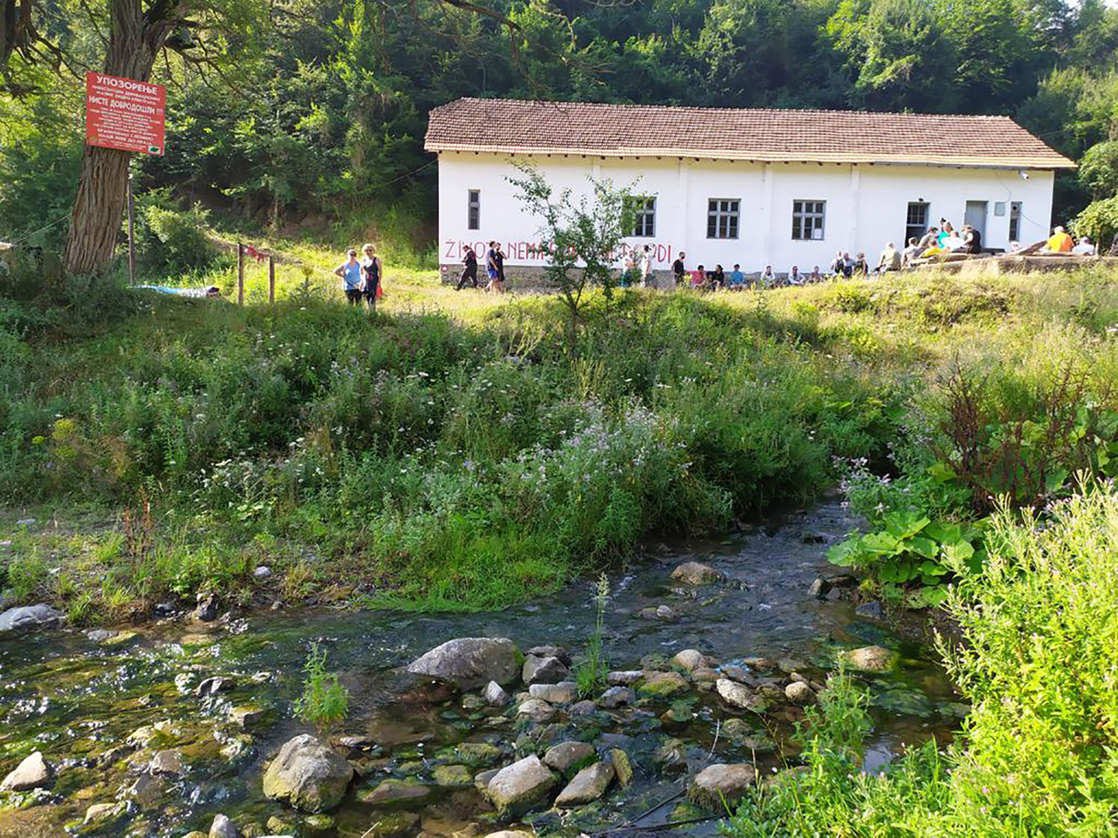 Rakita vadjenje cevi