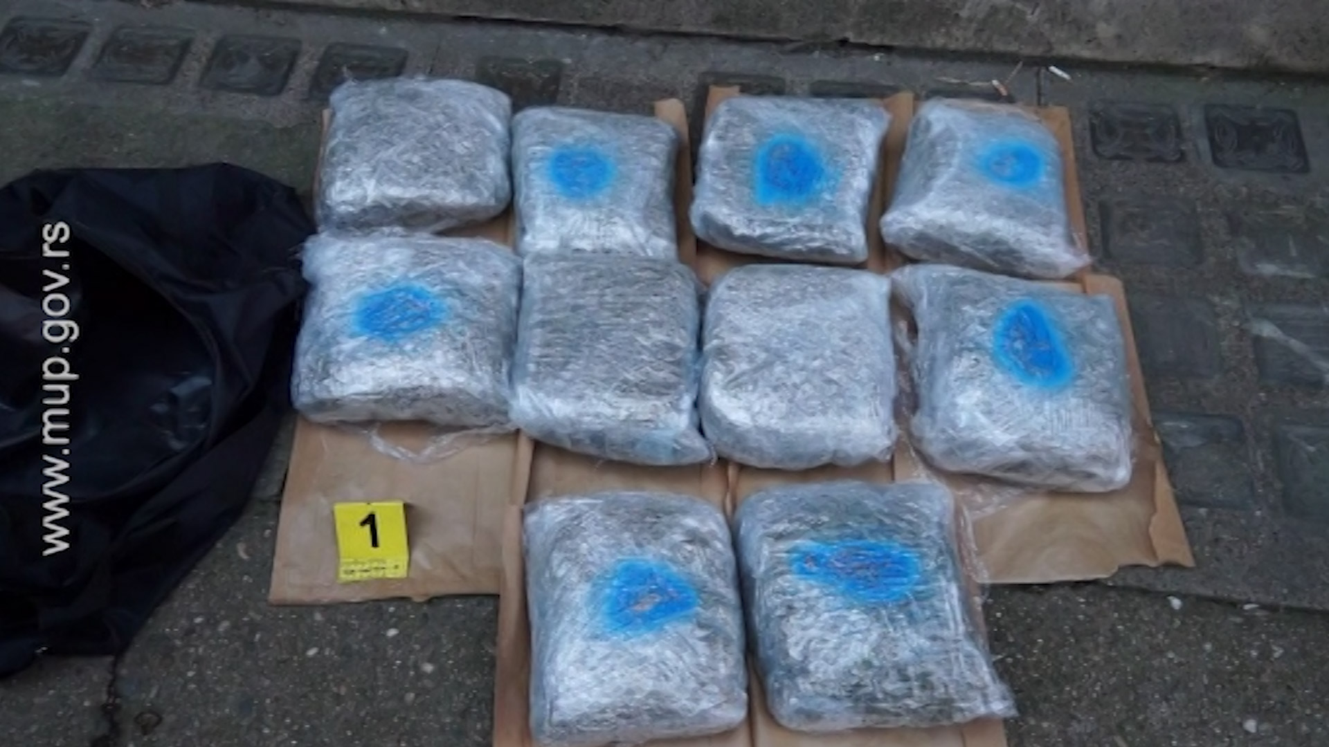 Marihuana, zaplena, droga, opijati Foto: MUP