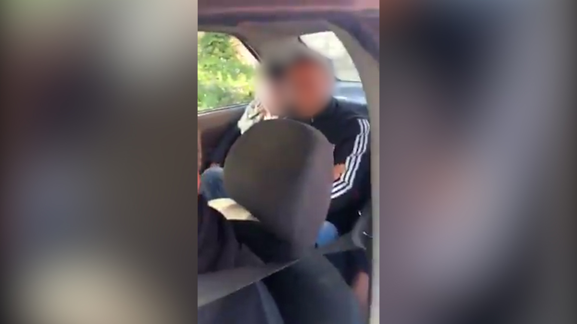 Apatin, migranti Foto: Printscreen/Nova.rs