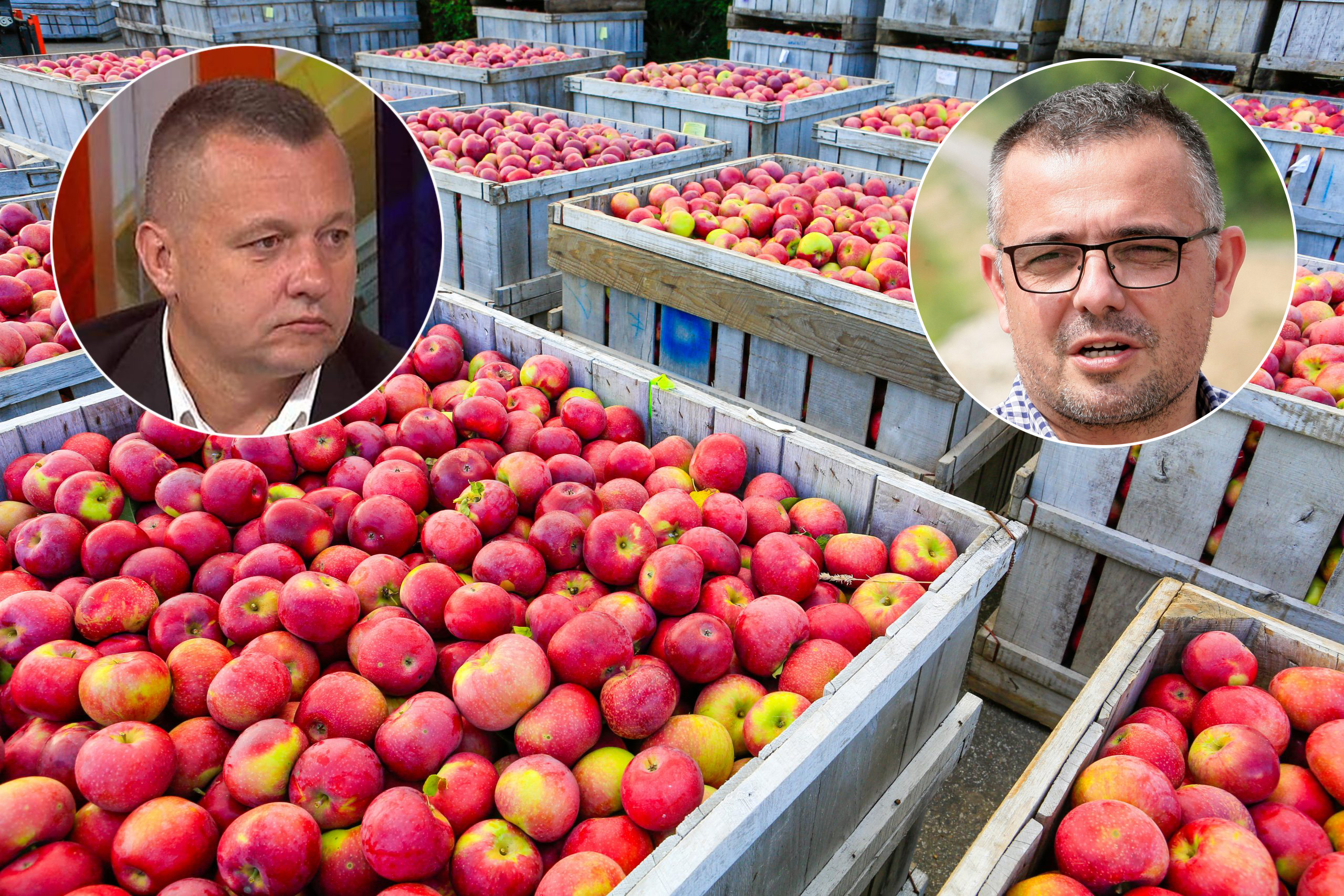 Robert Čoban, jabuke Foto: Shutterstock/N1