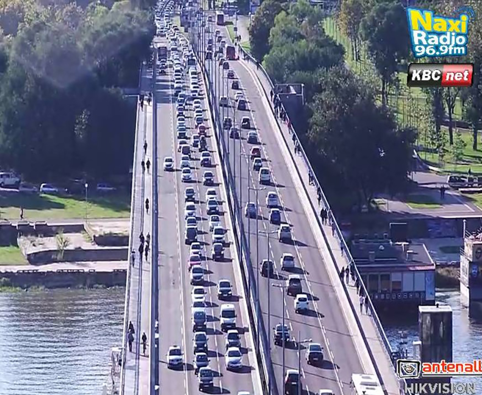 Guzva u gradu Brankov most