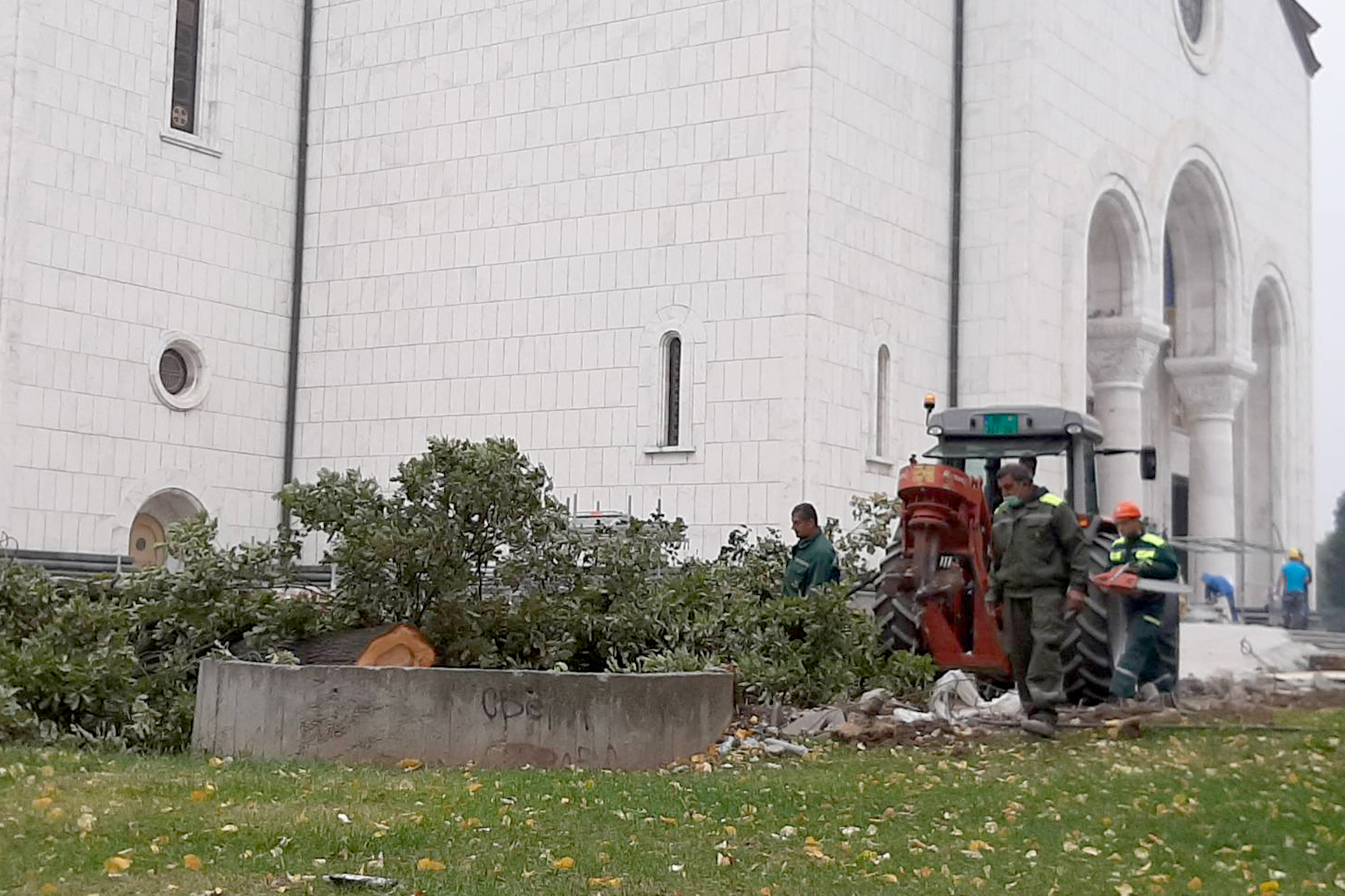 Seca drveca ispred Hrama Svetog Save, fotku prosledio Nemanja Jovanovic