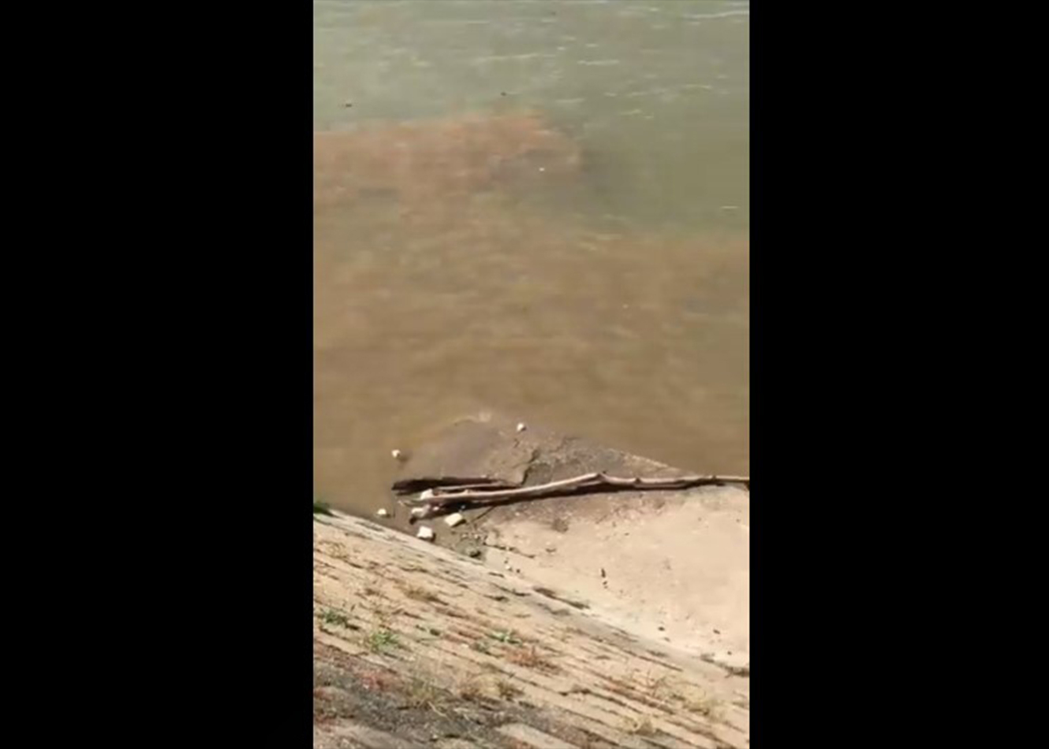 Beograd na vodi i fekalije